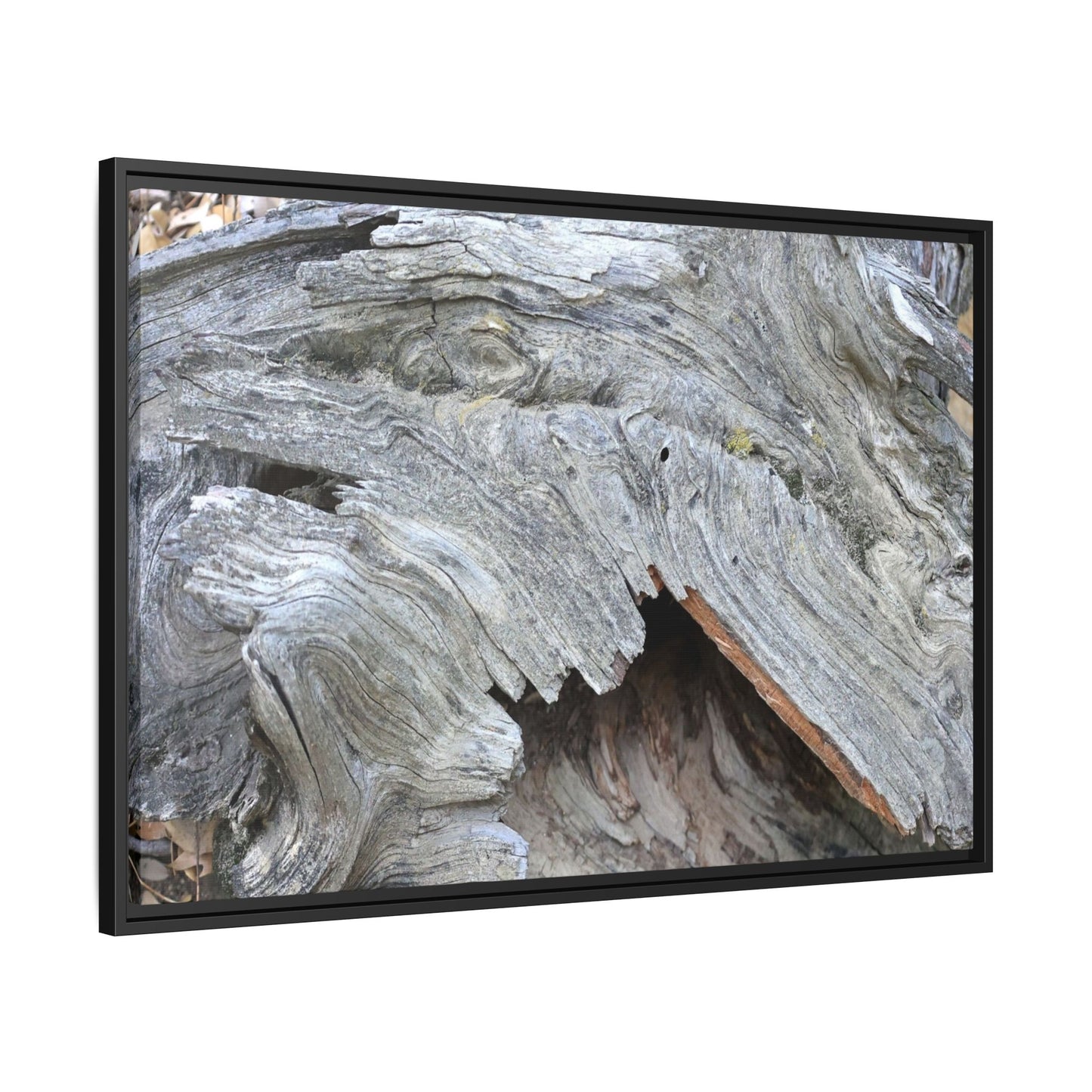 Driftwood Dreams - Unique Stretched Canvas Wall Art