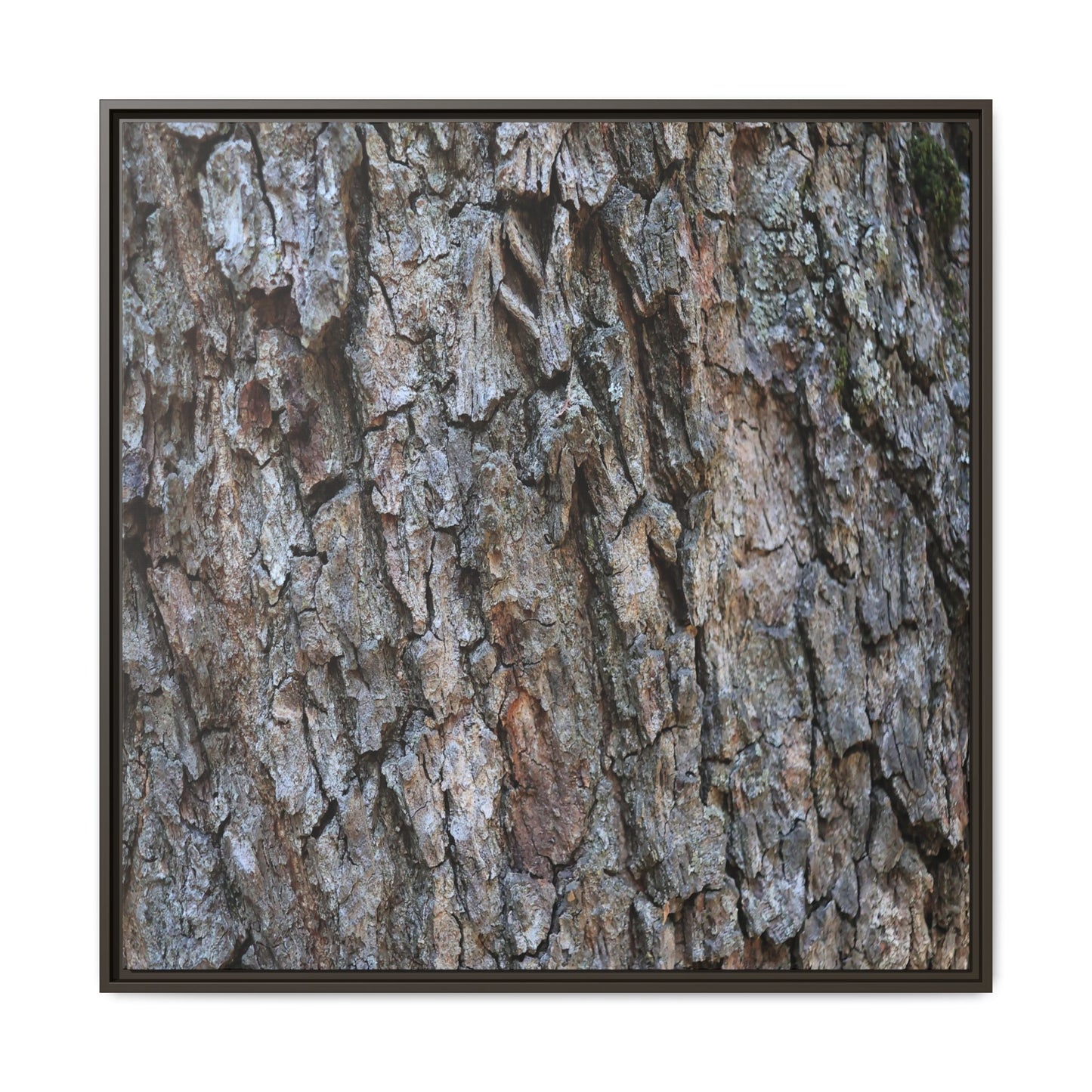 Woodland Skin - Unique Stretched Canvas Wall Art
