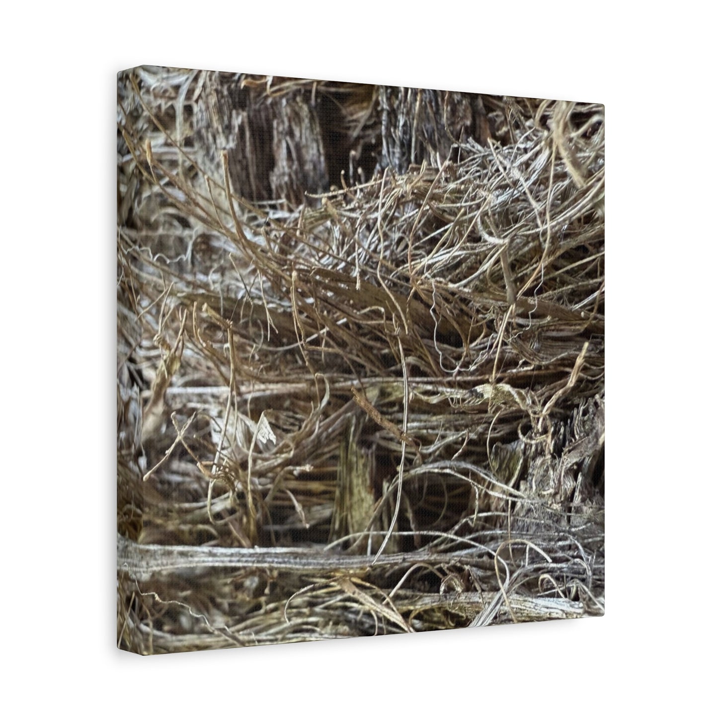 Whispers in Dry Grass - Unique Frameless Canvas Wall Art