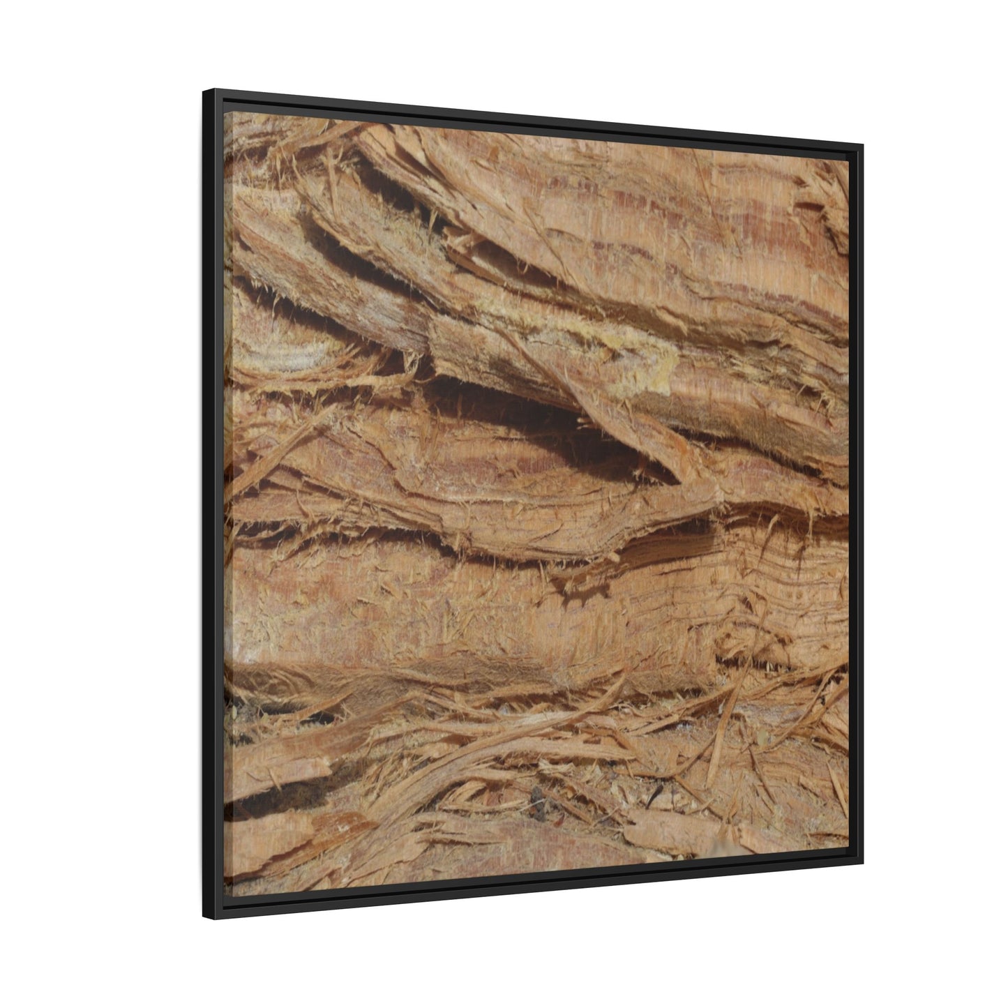 Splintered Bark - Unique Stretched Canvas Wall Art