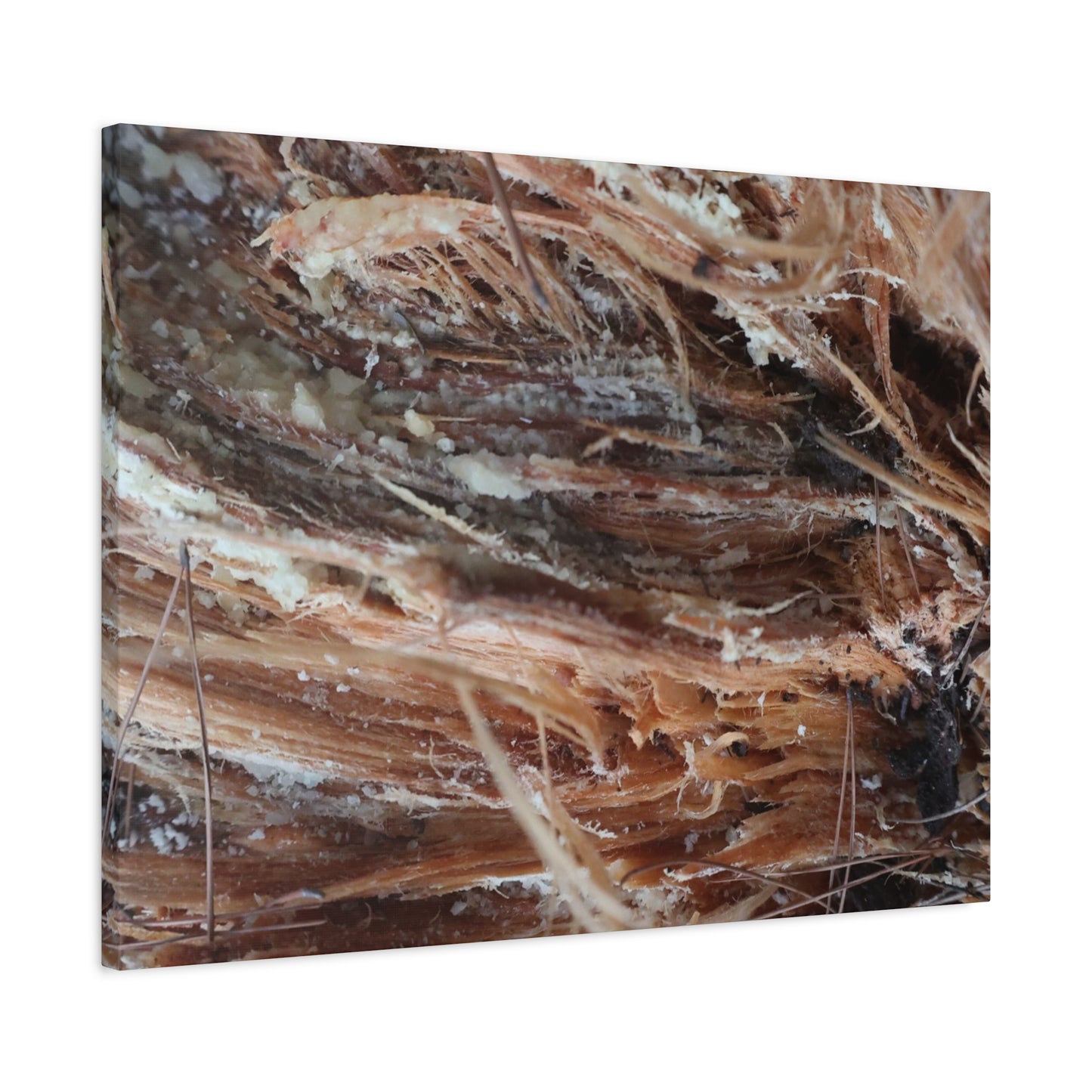 Decaying Whispers - Unique Frameless Canvas Wall Art