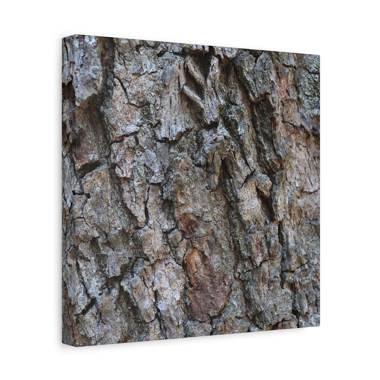 Rugged Canvas - Unique Frameless Canvas Wall Art