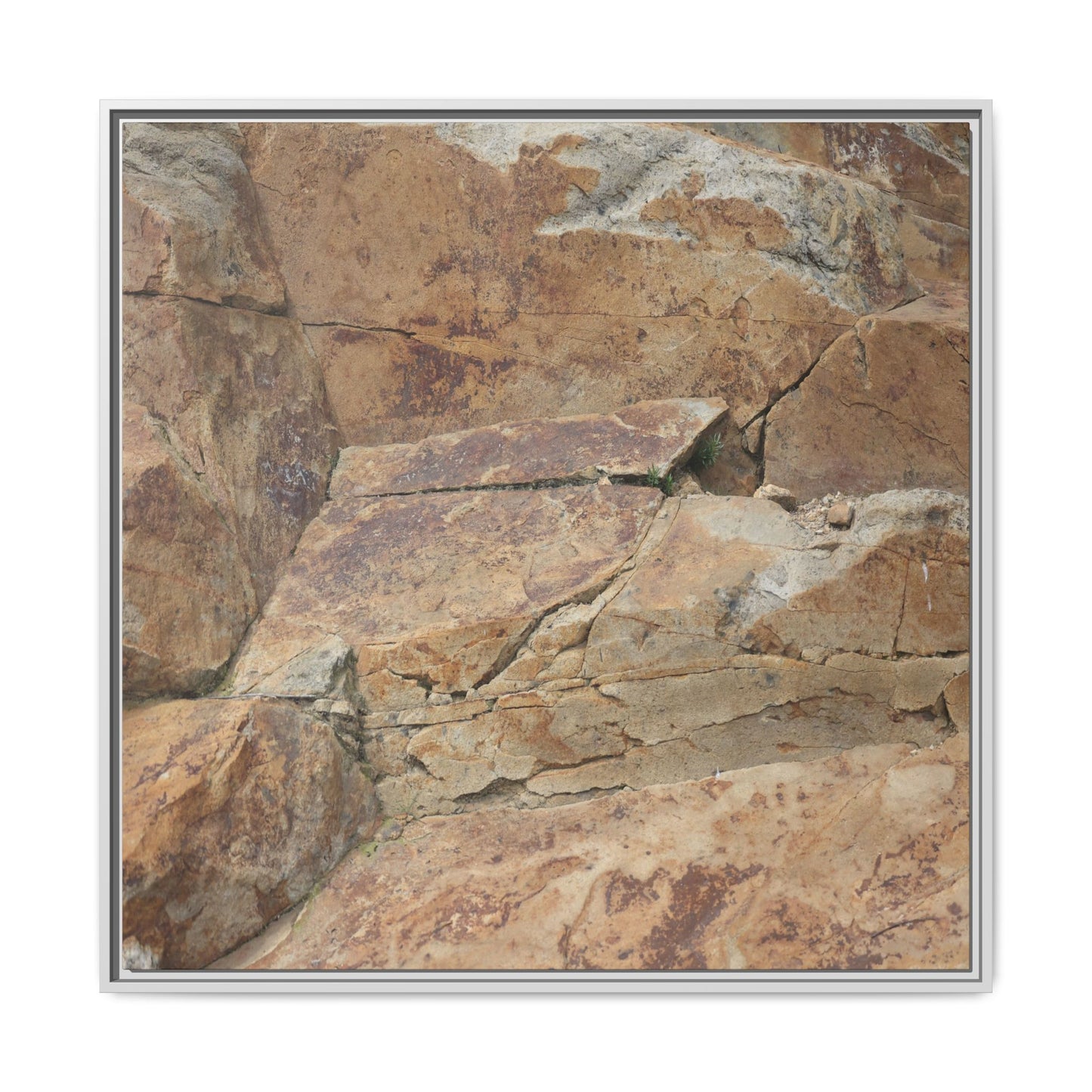 Ancient Foundations - Unique Stretched Canvas Wall Art