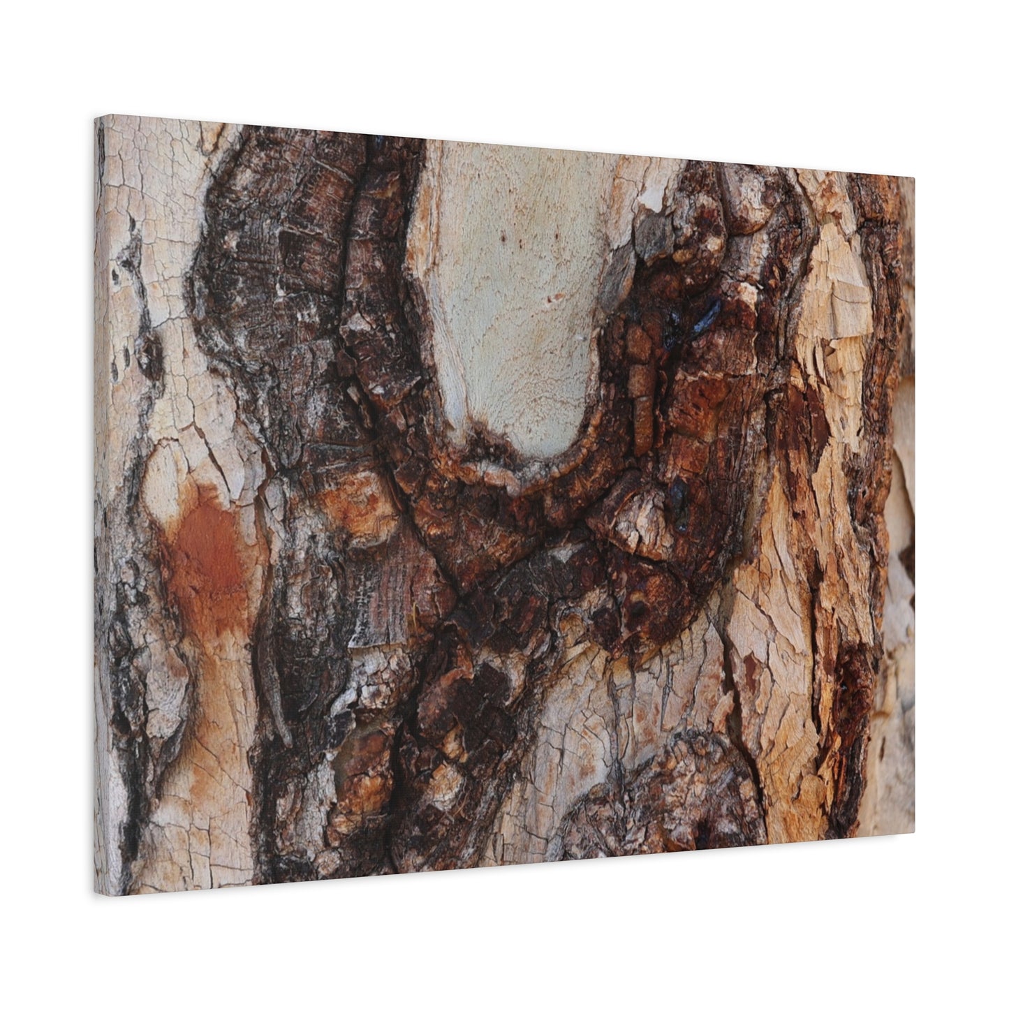 Arboreal Echoes - Unique Frameless Canvas Wall Art