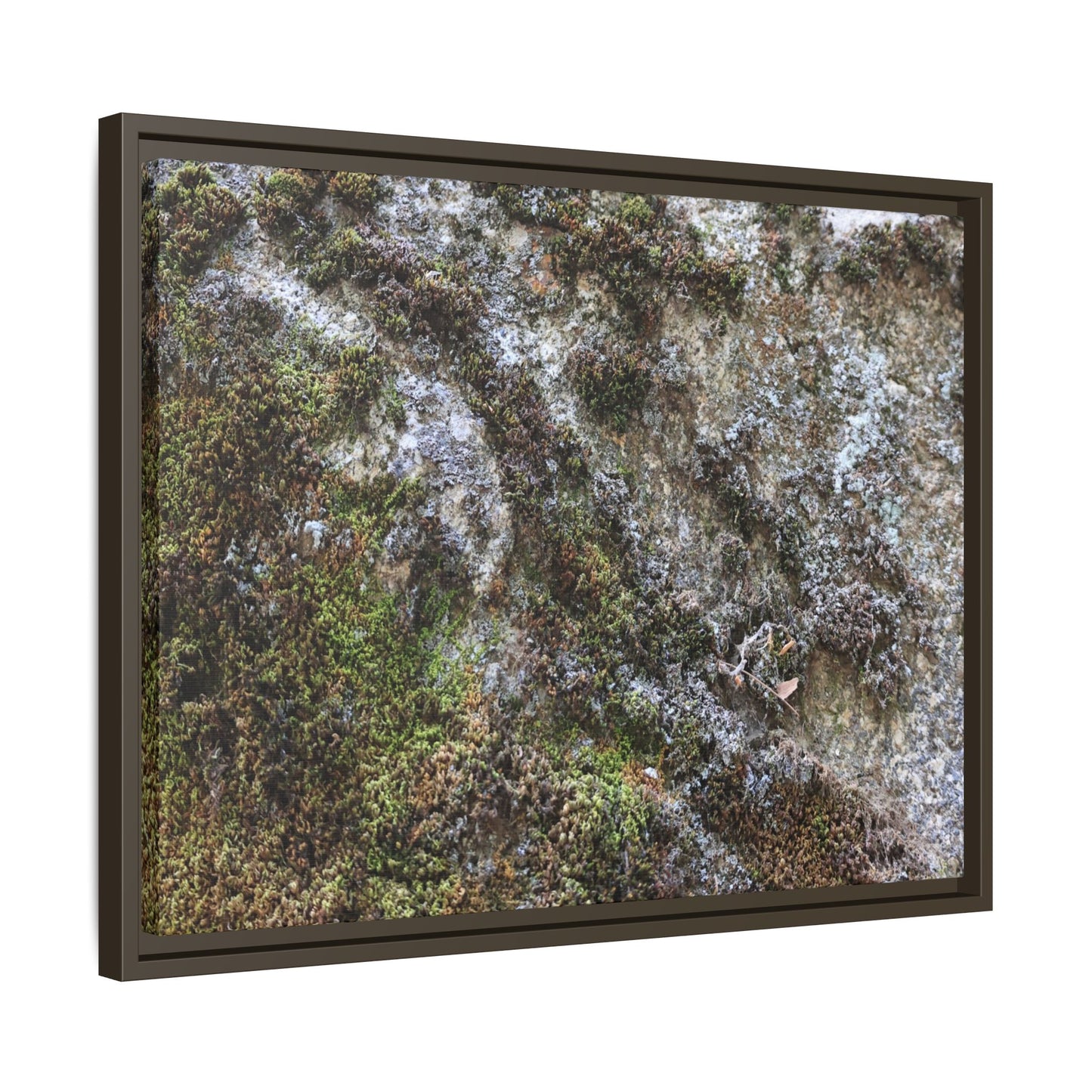 Mossy Whispers - Unique Stretched Canvas Wall Art
