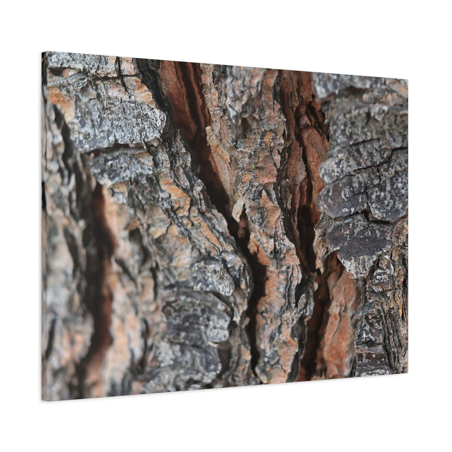 Rough Whispers - Unique Frameless Canvas Wall Art