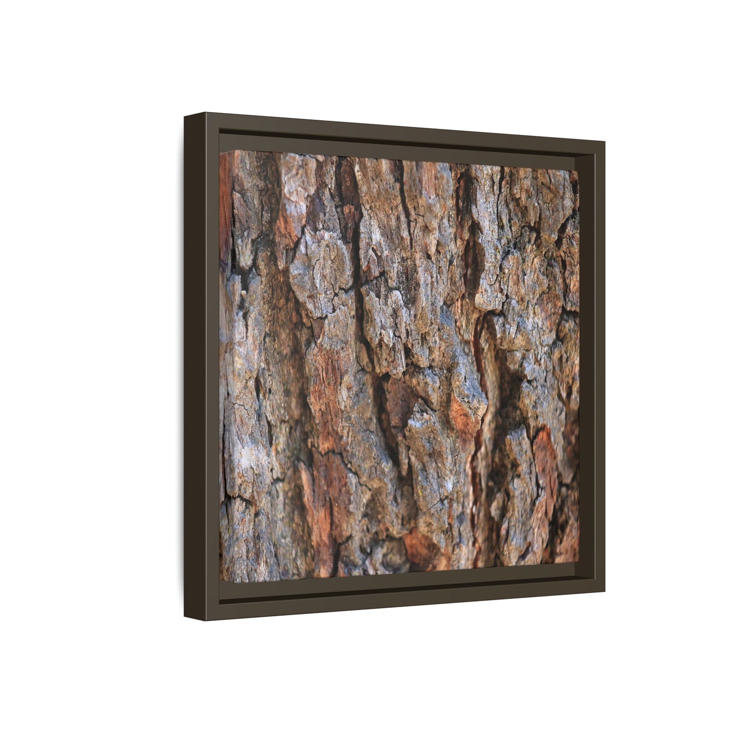 Craggy Textures - Unique Stretched Canvas Wall Art