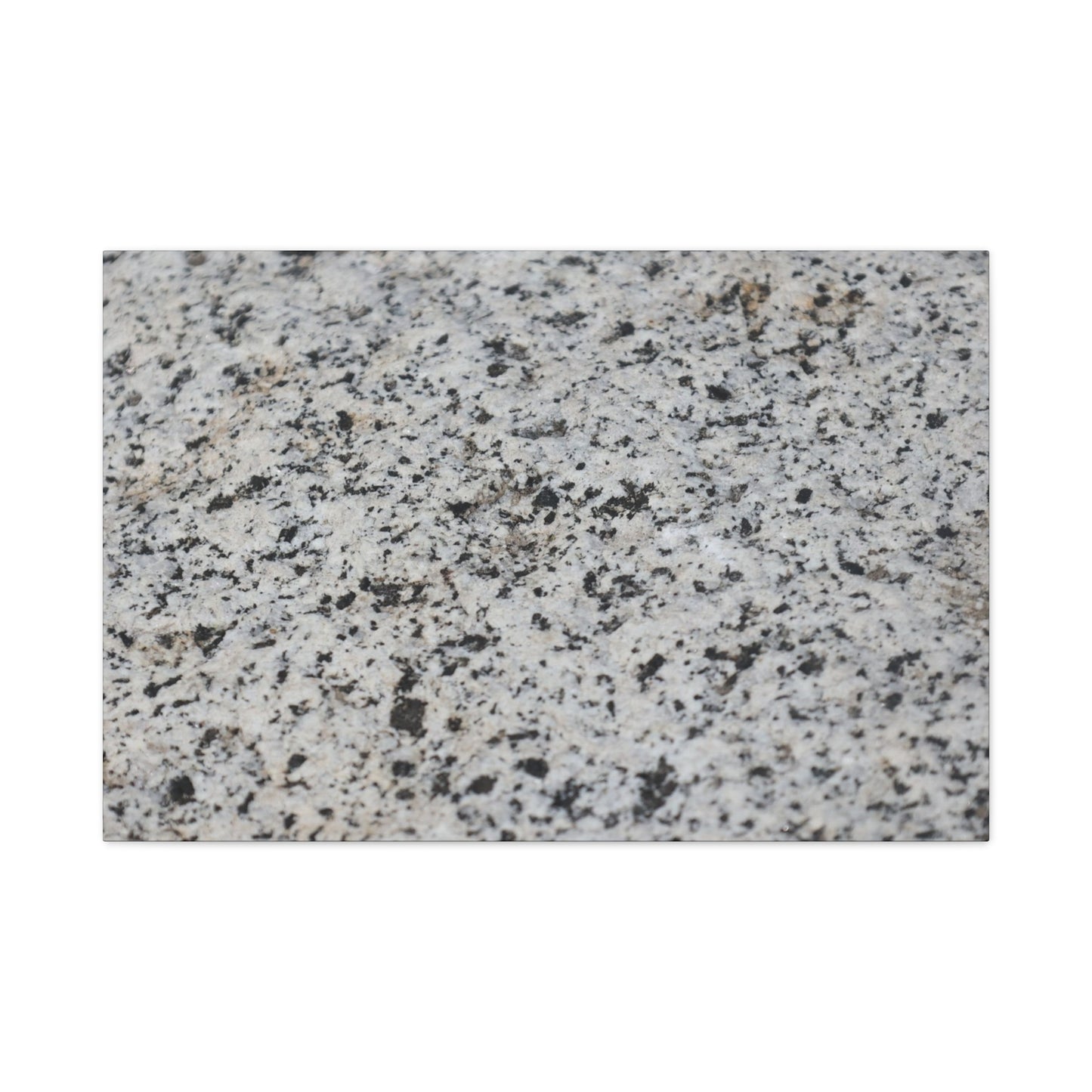 Speckled Silence - Unique Frameless Canvas Wall Art
