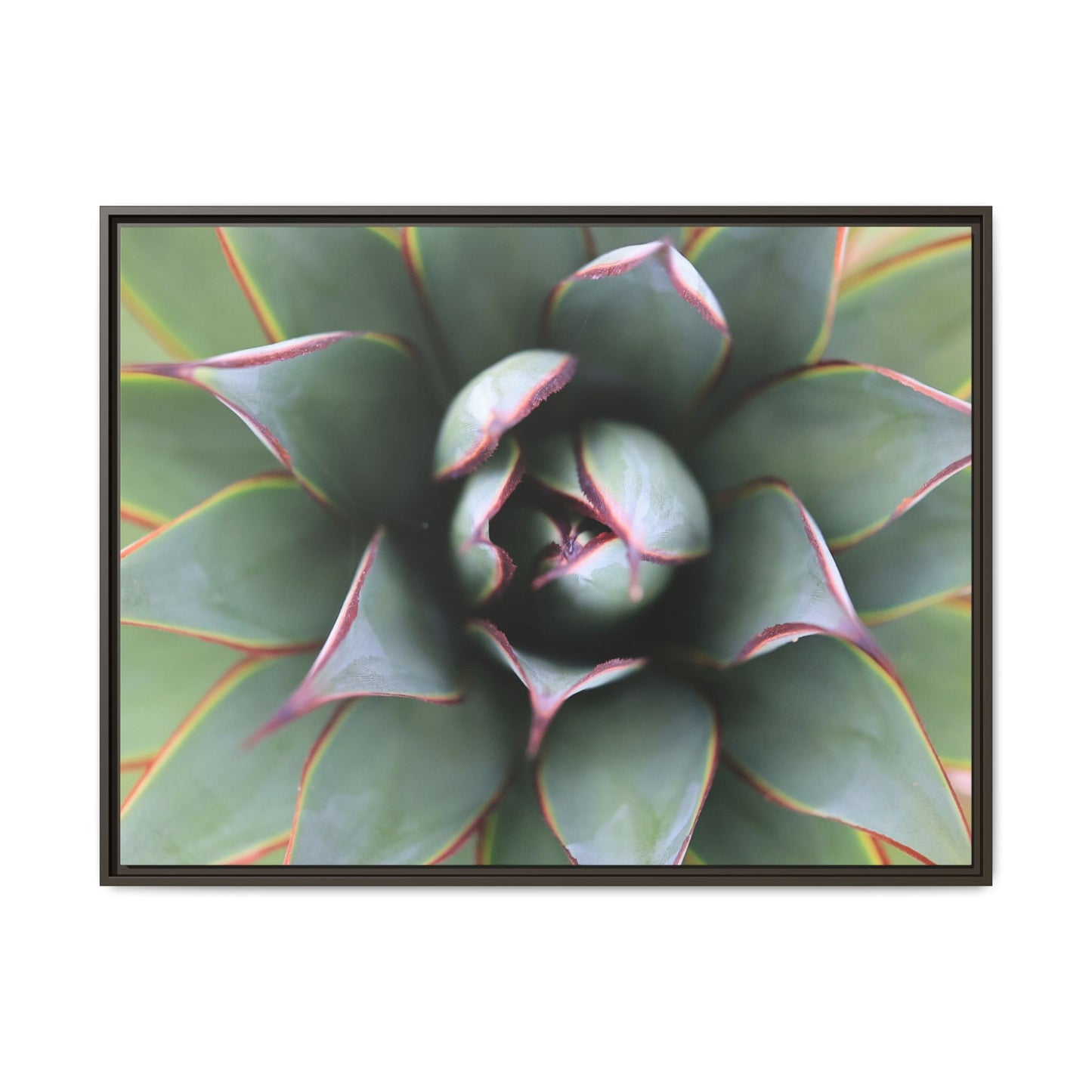 Spiky Elegance - Unique Stretched Canvas Wall Art