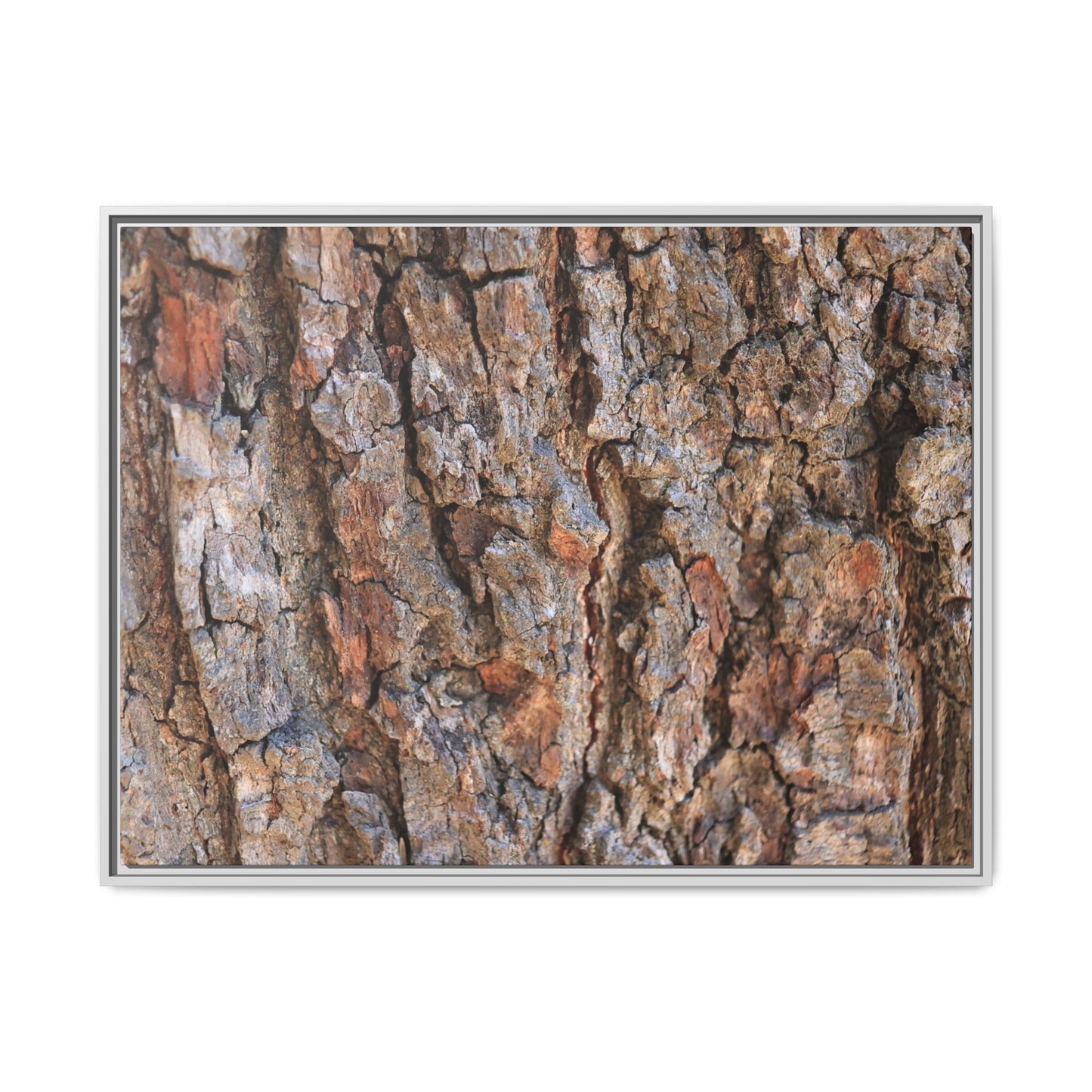 Tree's Timeworn Tale - Unique Stretched Canvas Wall Art