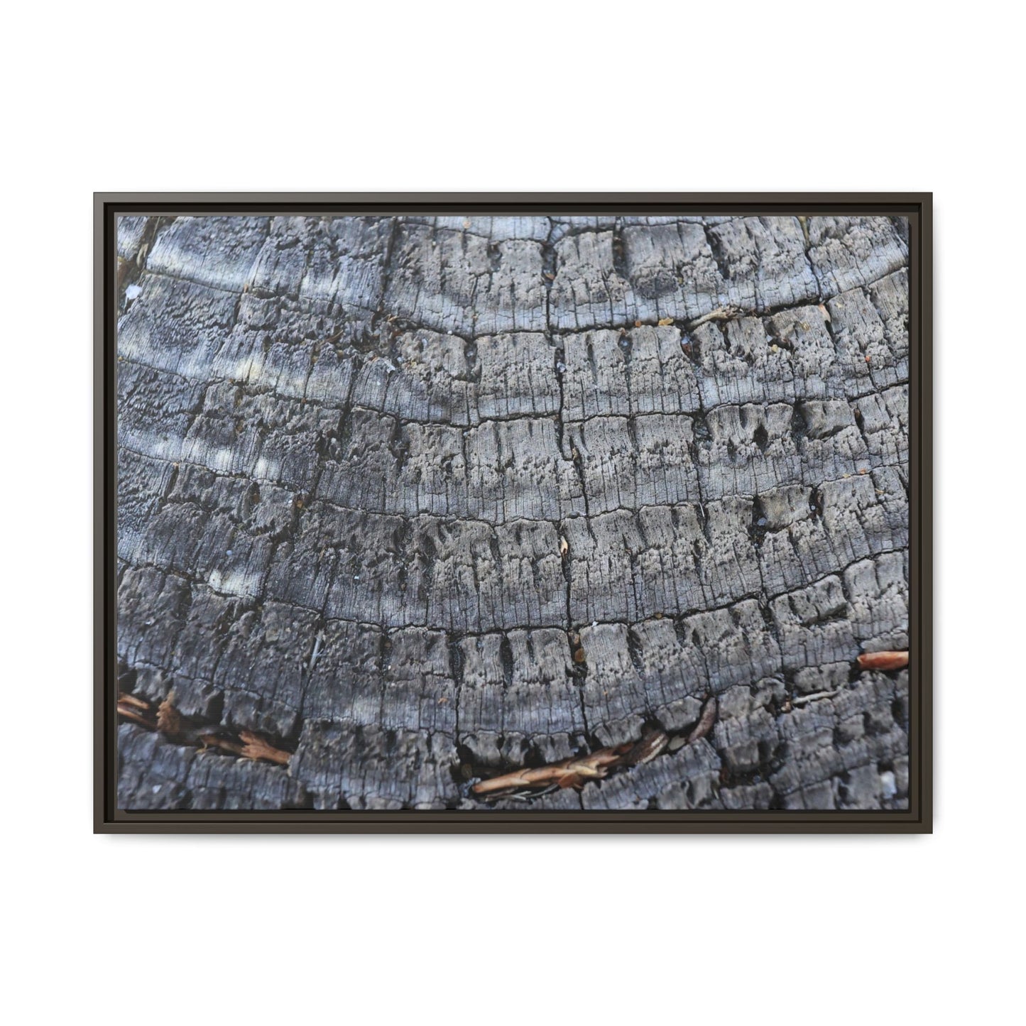 Charred Memories - Unique Stretched Canvas Wall Art