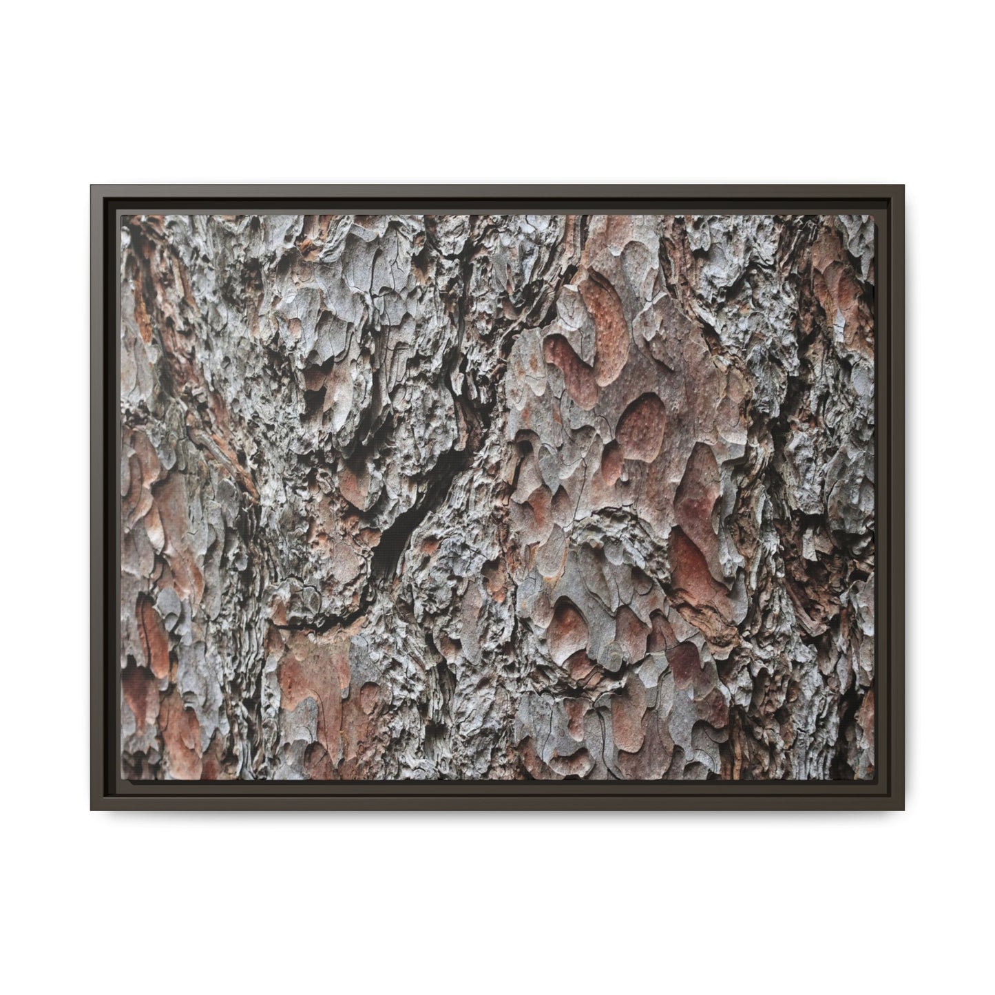 Bark Texture Symphony - Unique Stretched Canvas Wall Art