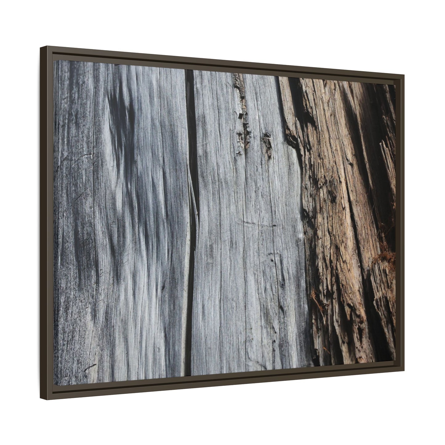 Wood's Lament - Unique Stretched Canvas Wall Art
