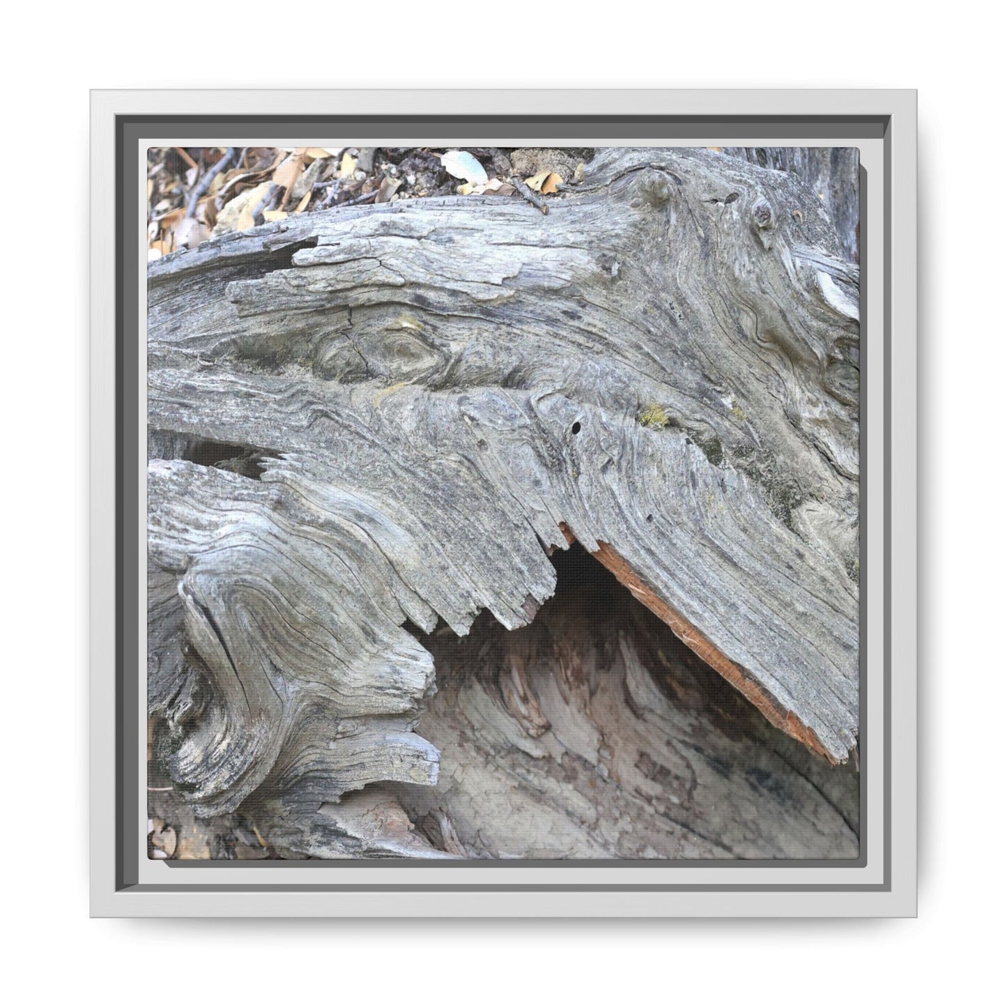 Driftwood Dreams - Unique Stretched Canvas Wall Art