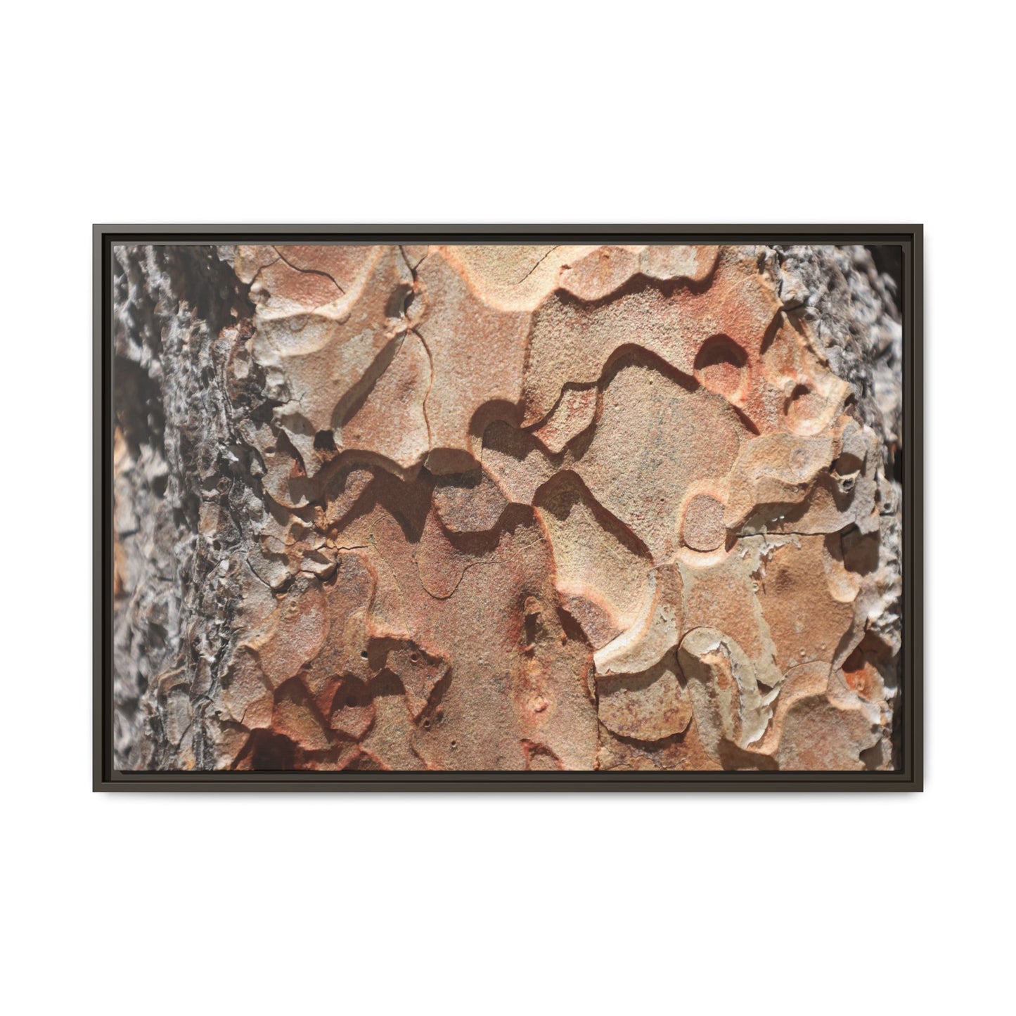 Rust and Stone - Unique Stretched Canvas Wall Art