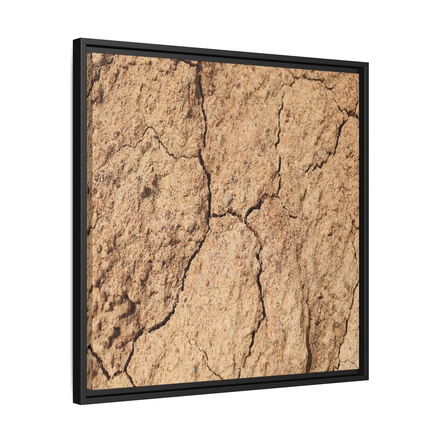 Parched Land - Unique Stretched Canvas Wall Art