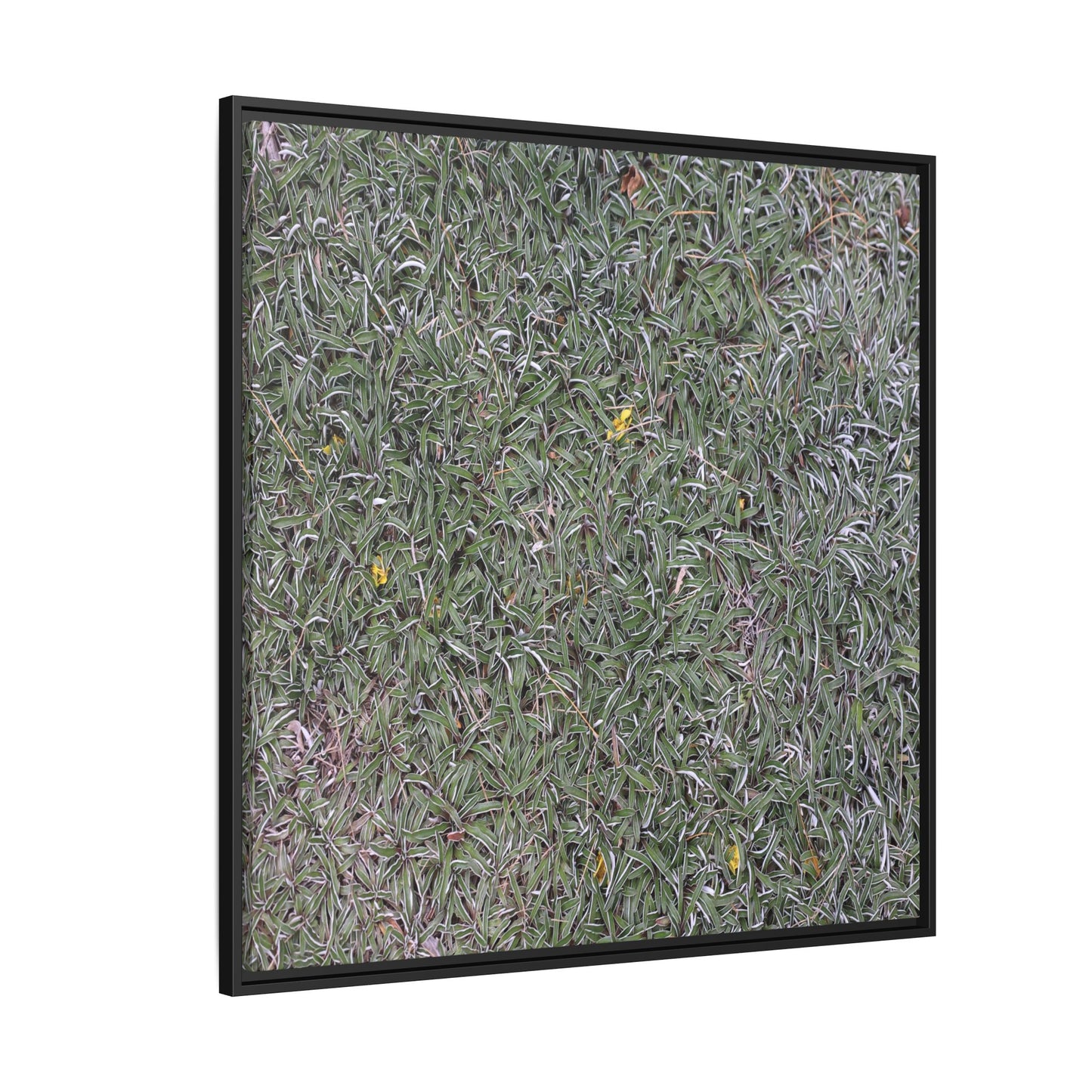 Grassy Texture - Unique Stretched Canvas Wall Art