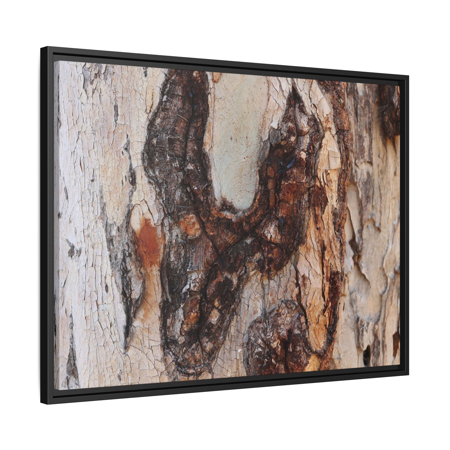 Texture of Time - Unique Stretched Canvas Wall Art