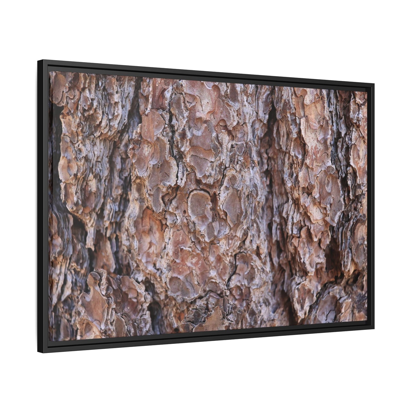 Woody Layers - Unique Stretched Canvas Wall Art