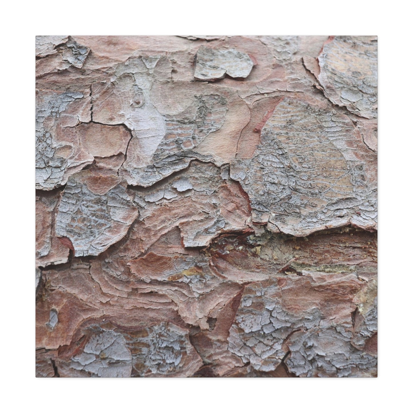 Textural Landscape - Unique Frameless Canvas Wall Art