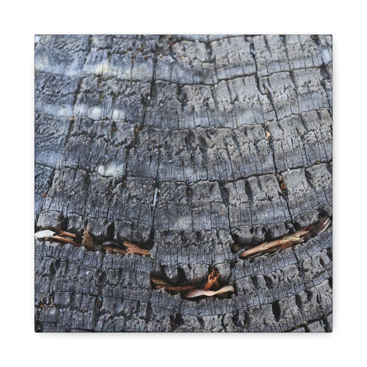 Time's Fractal Whispers - Unique Frameless Canvas Wall Art