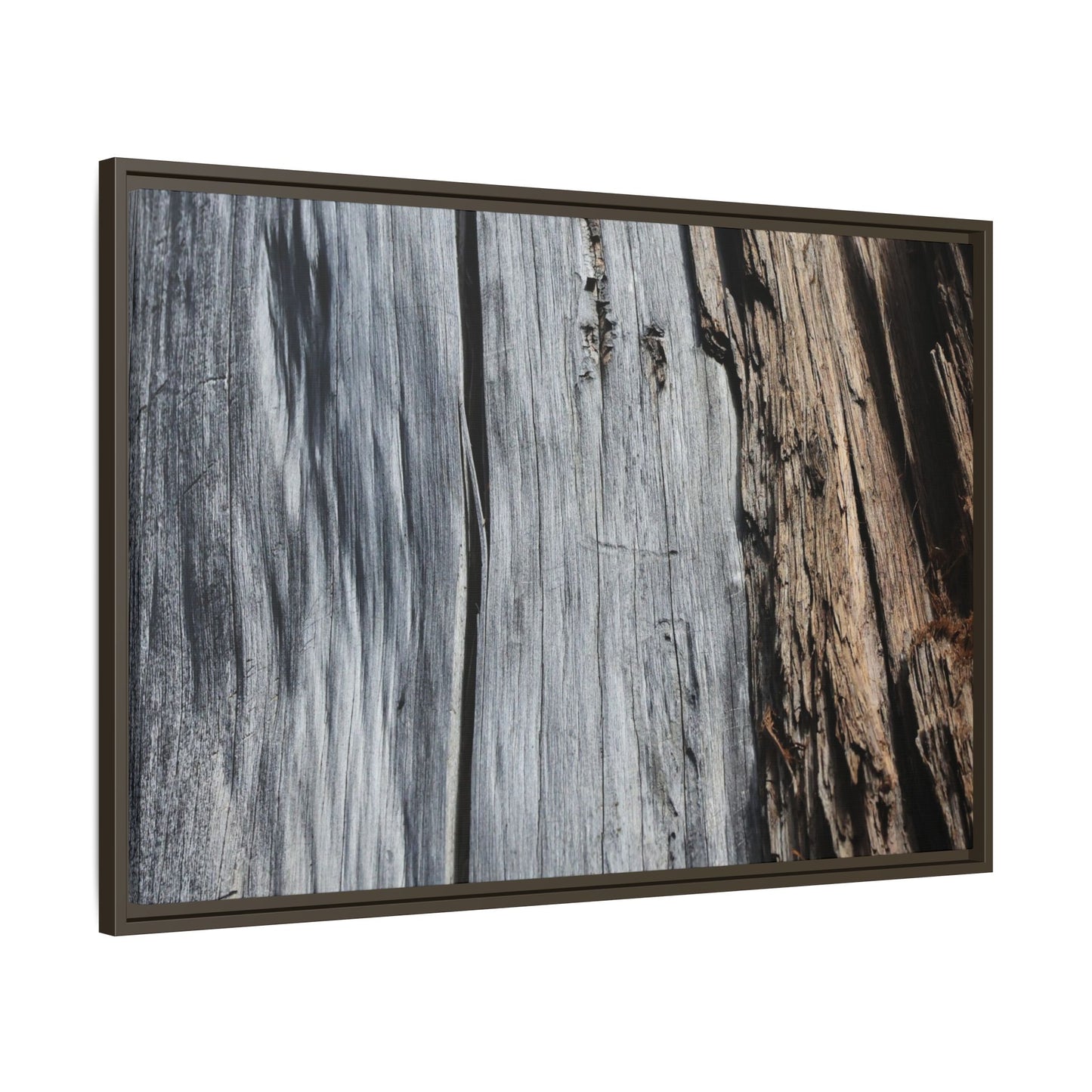 Wood's Lament - Unique Stretched Canvas Wall Art