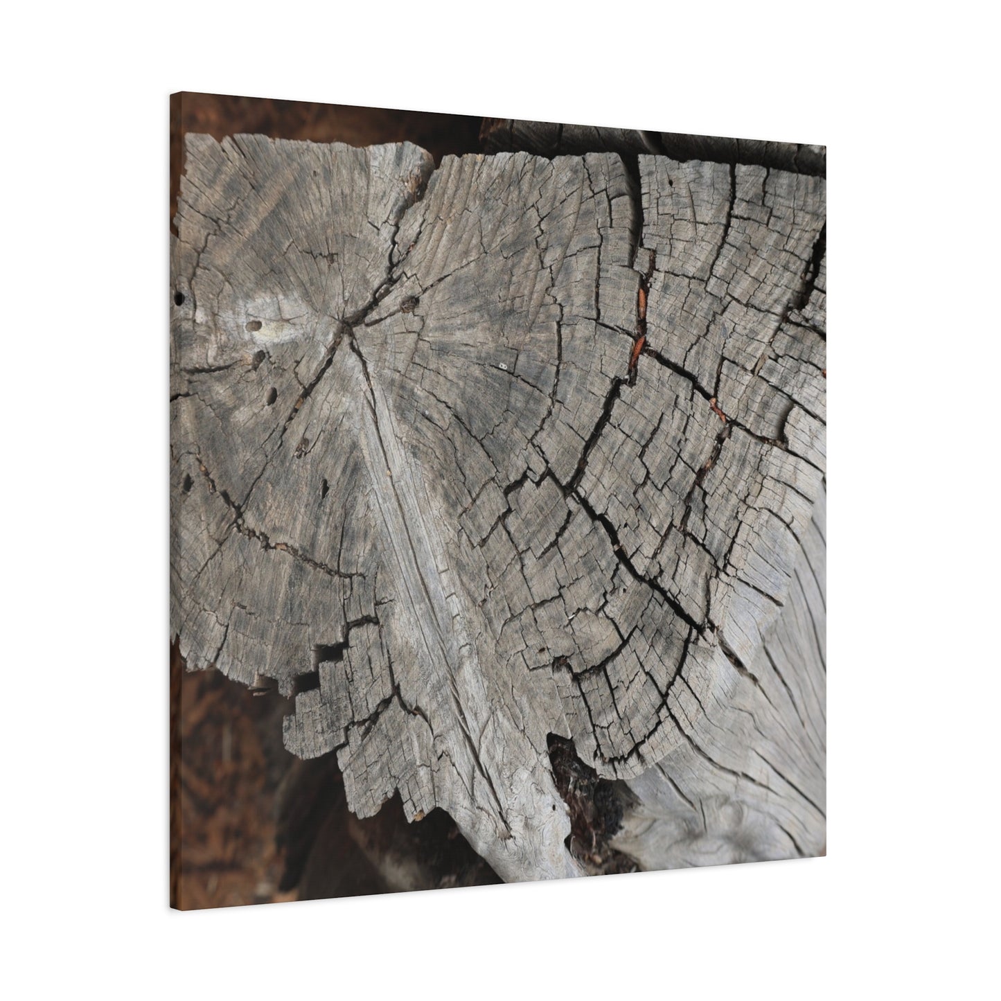 Cracked Memories - Unique Frameless Canvas Wall Art