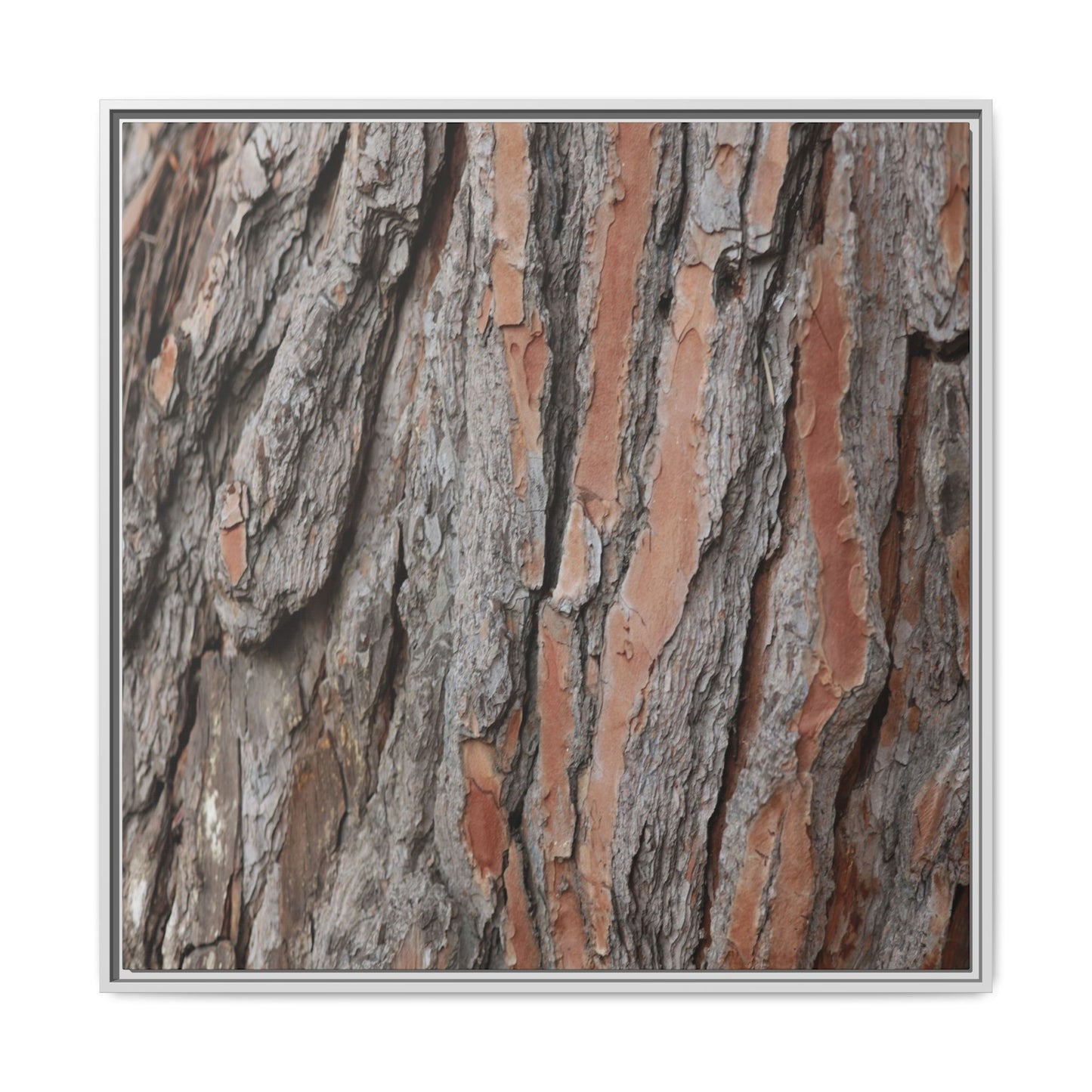 Woodland Layers - Unique Stretched Canvas Wall Art