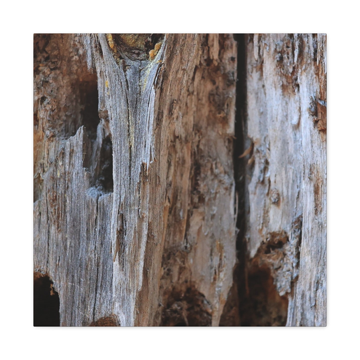 Timber Tapestry - Unique Frameless Canvas Wall Art