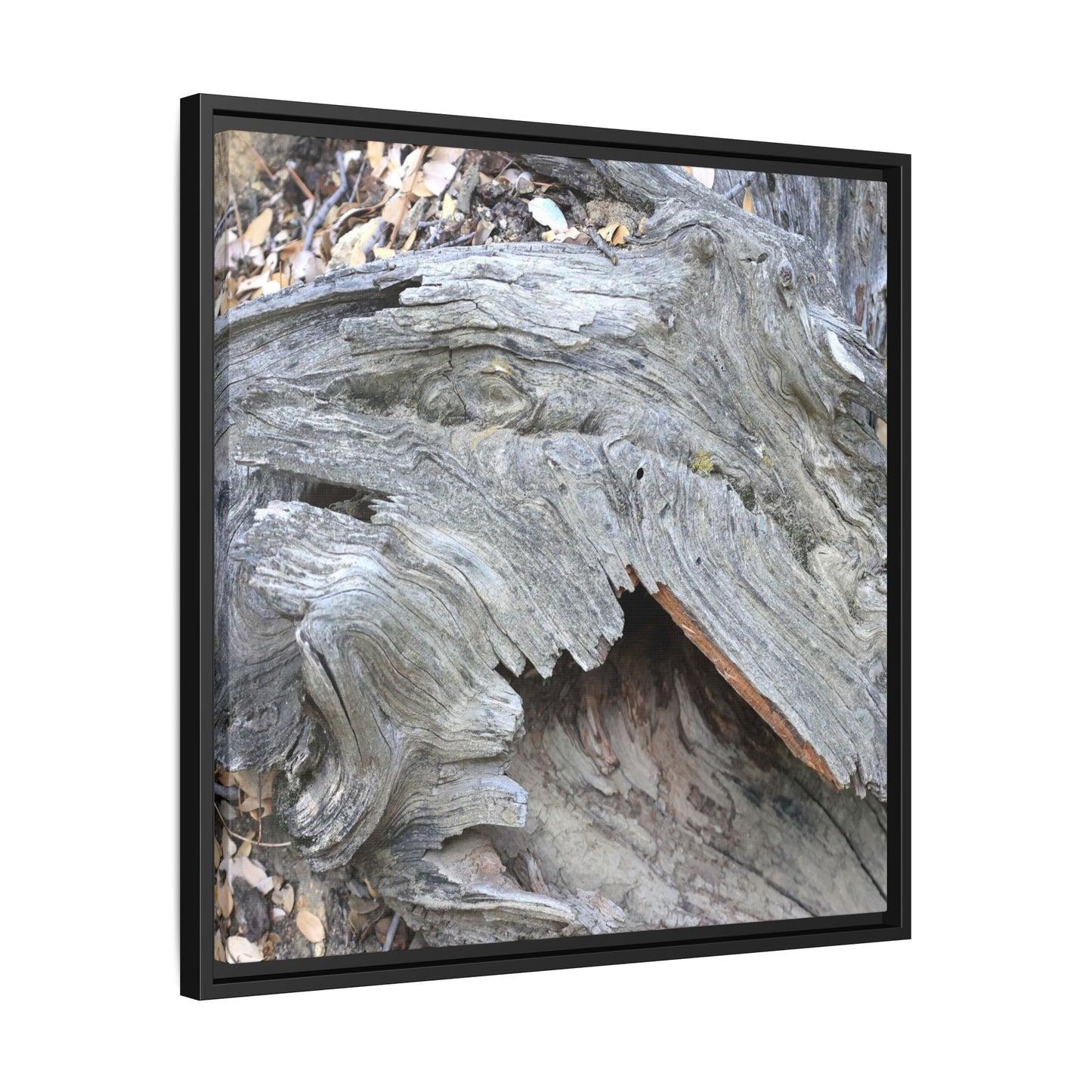 Driftwood Dreams - Unique Stretched Canvas Wall Art