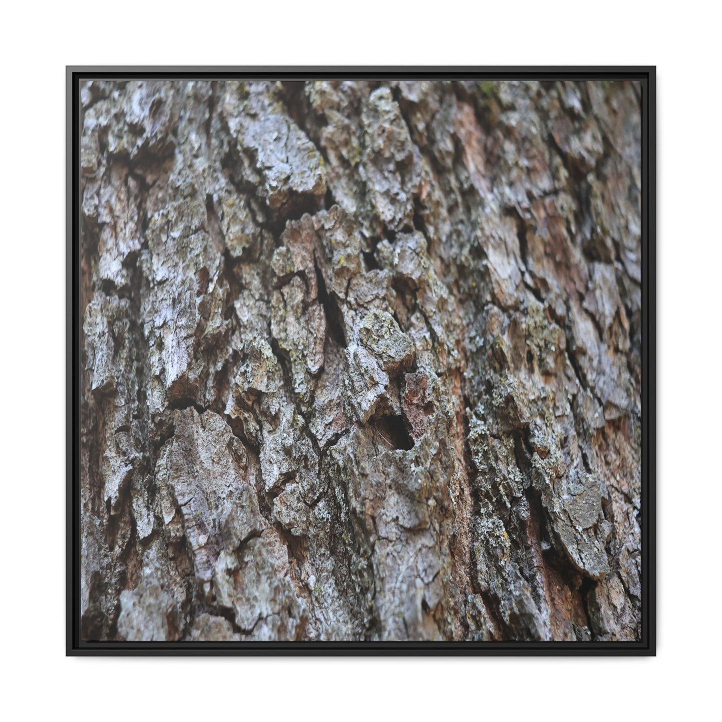 Woodland Canvas - Unique Stretched Canvas Wall Art