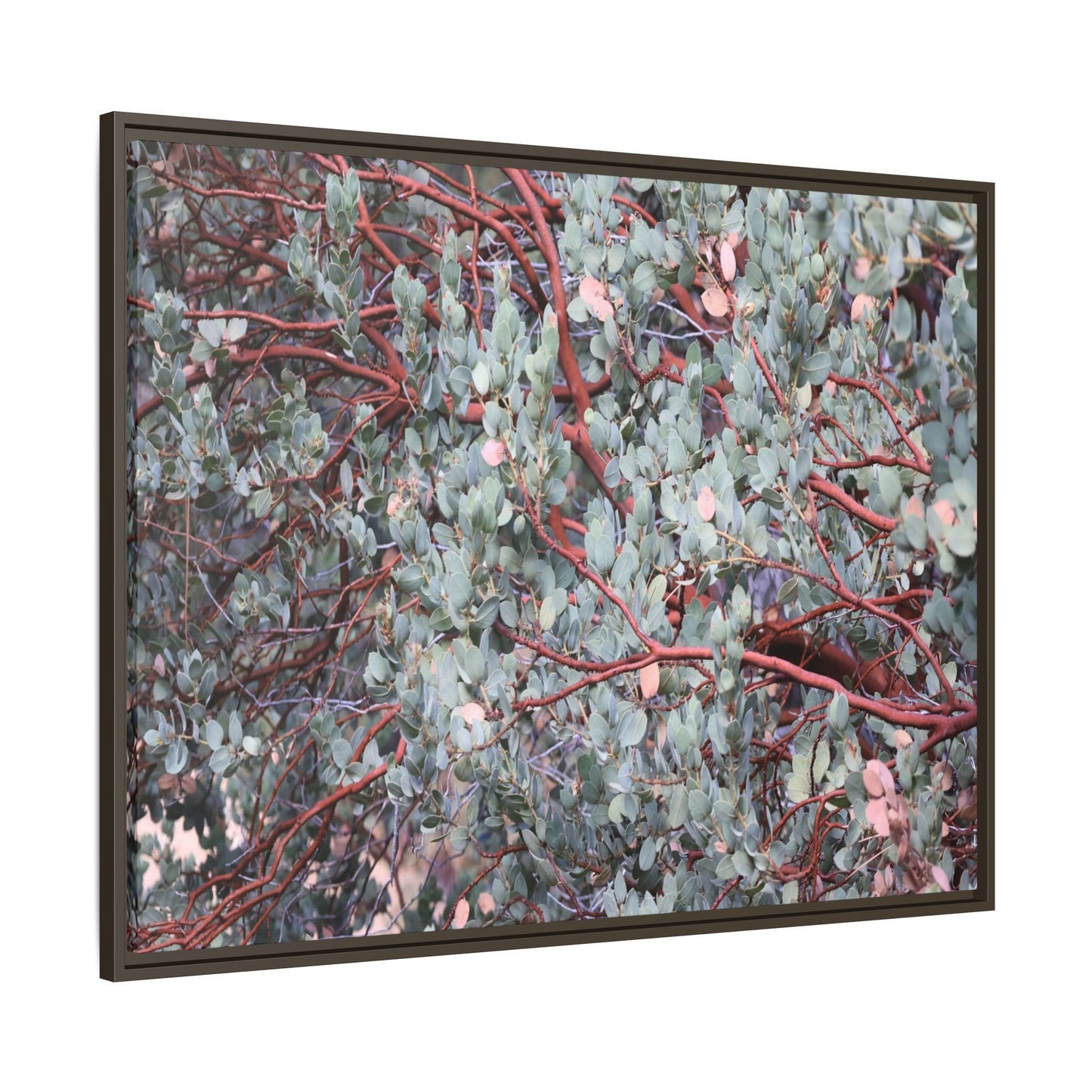 Whispers of Sage - Unique Stretched Canvas Wall Art