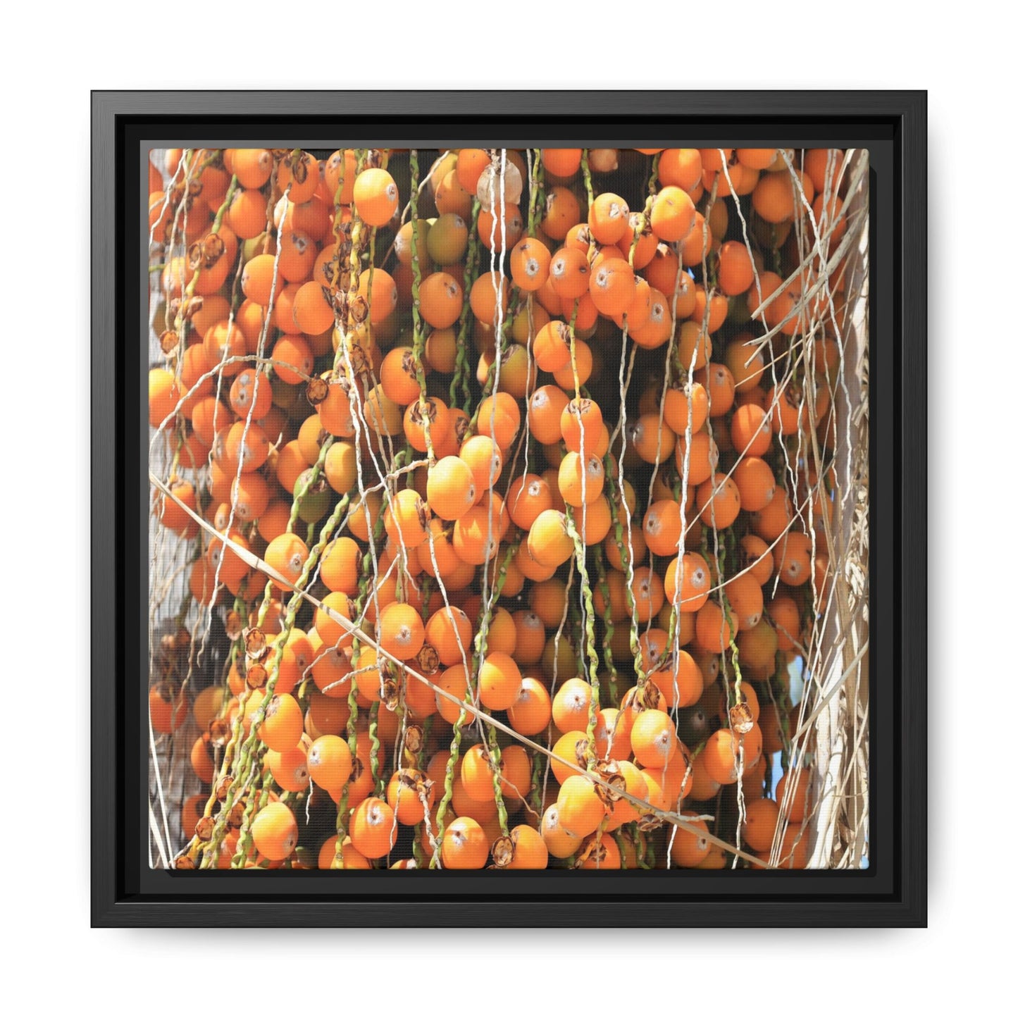 Clusters of Sunlight - Unique Canvas Wall Art