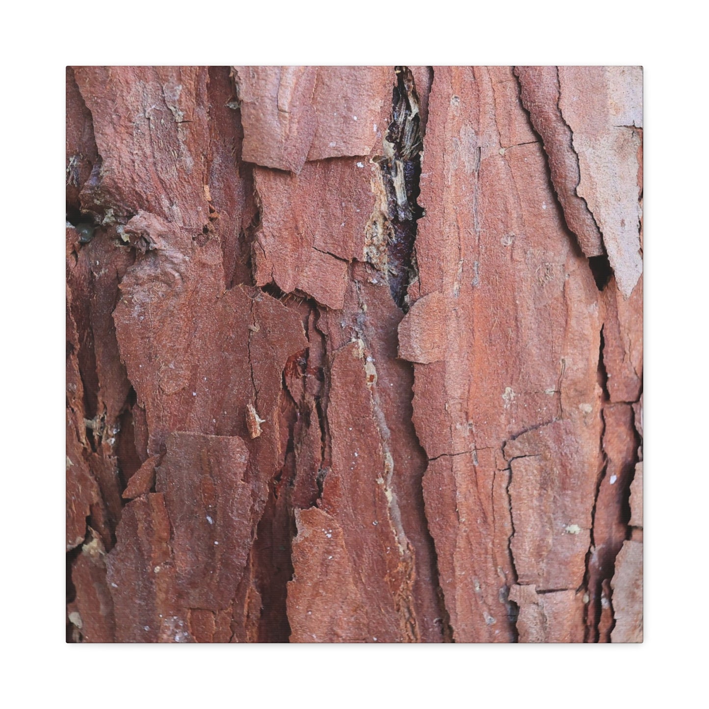 Crimson Fissures - Unique Frameless Canvas Wall Art