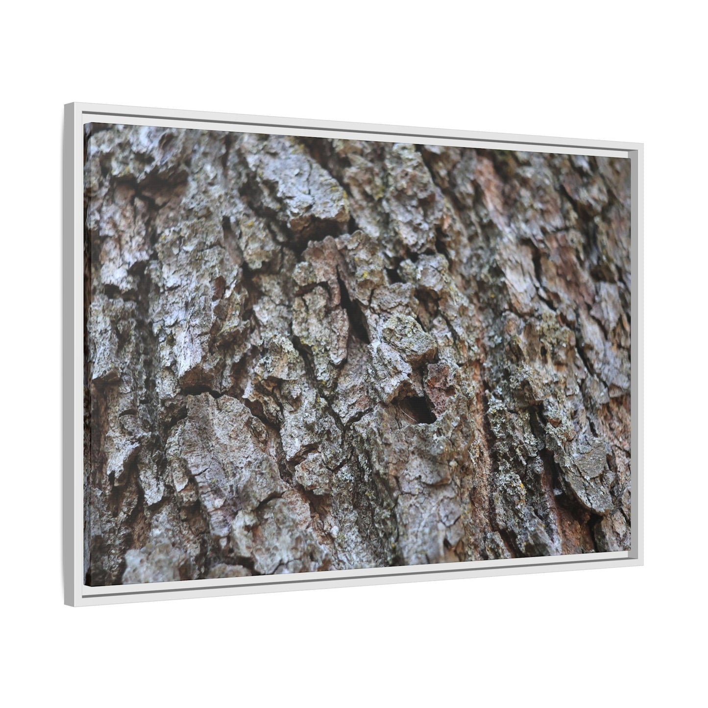 Woodland Canvas - Unique Stretched Canvas Wall Art