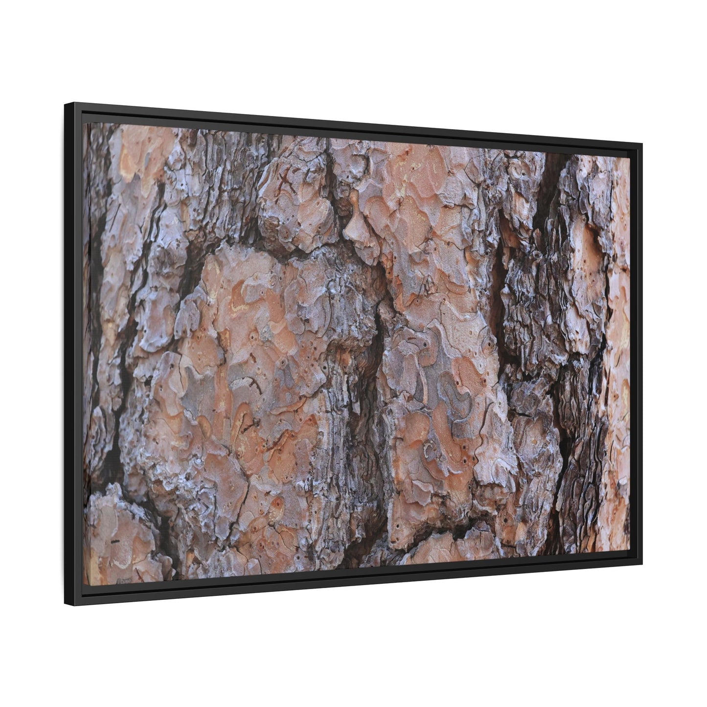 Tree Skin Symphony - Unique Stretched Canvas Wall Art