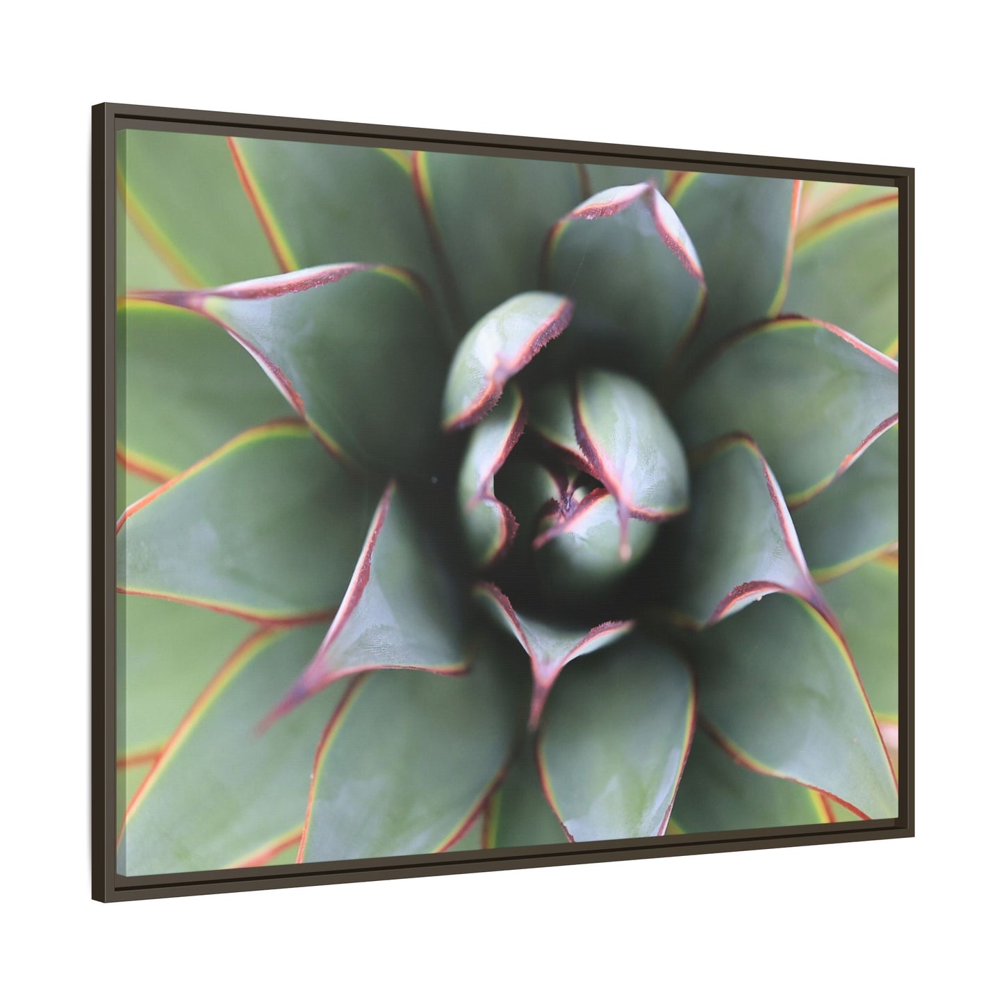 Spiky Elegance - Unique Stretched Canvas Wall Art