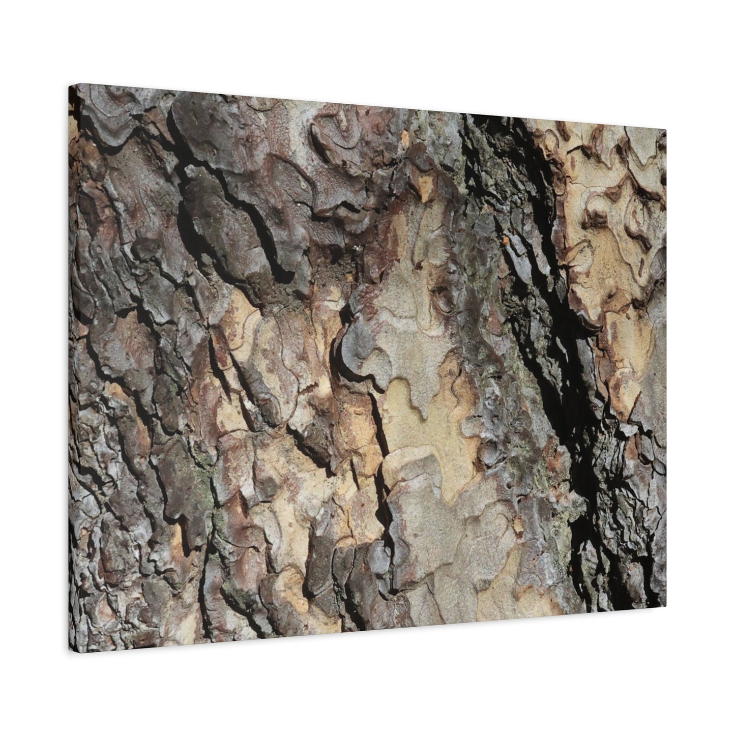 Tree Bark Symphony - Unique Frameless Canvas Wall Art