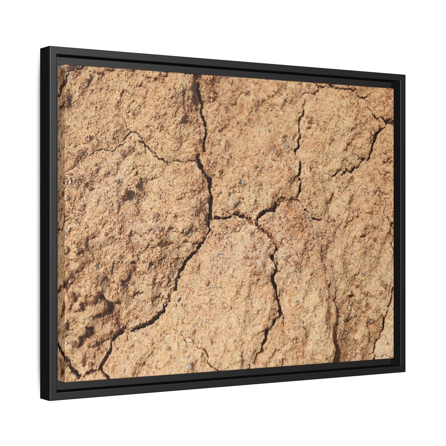 Parched Land - Unique Stretched Canvas Wall Art