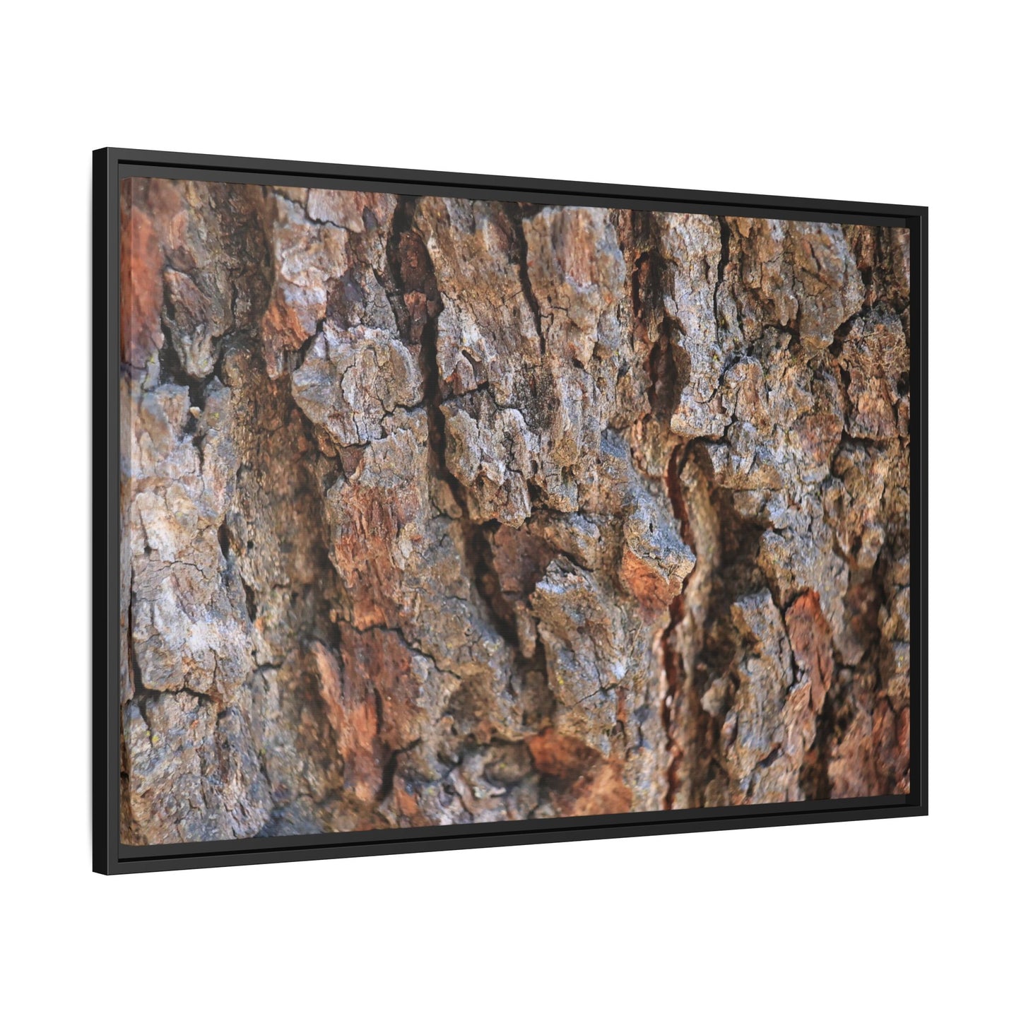 Craggy Textures - Unique Stretched Canvas Wall Art