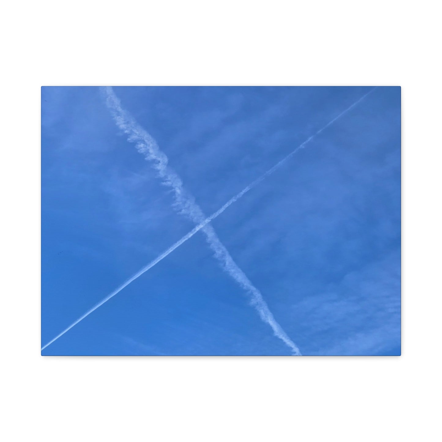 Crossing Paths - Unique Frameless Canvas Wall Art