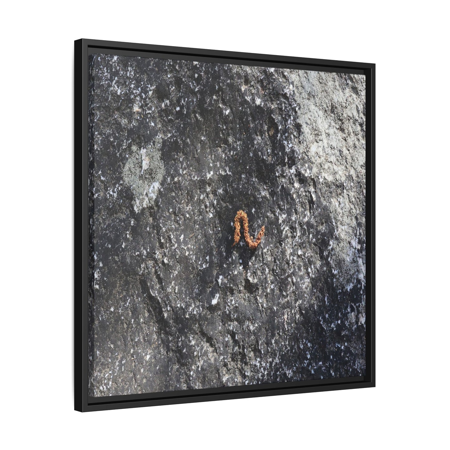 Volcanic Ash and Copper - Unique Stretched Canvas Wall Art