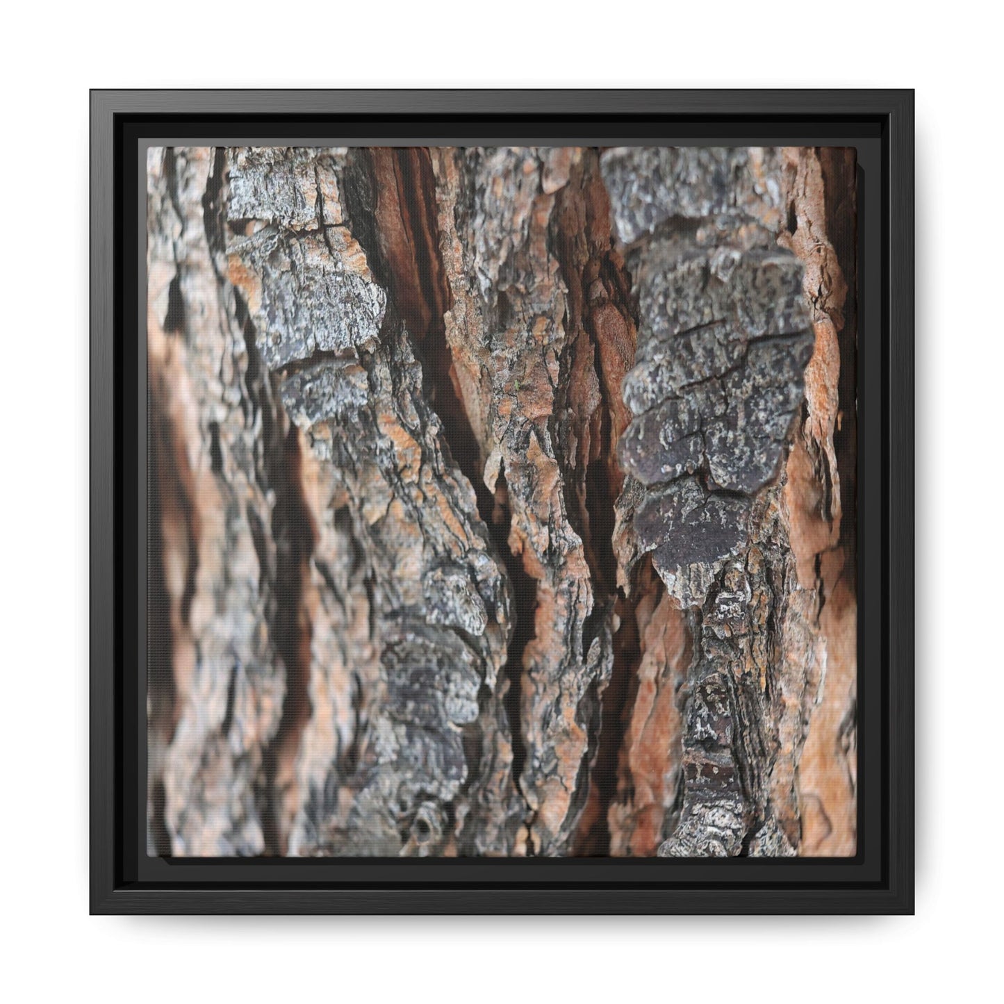 Fractured Nature - Unique Stretched Canvas Wall Art