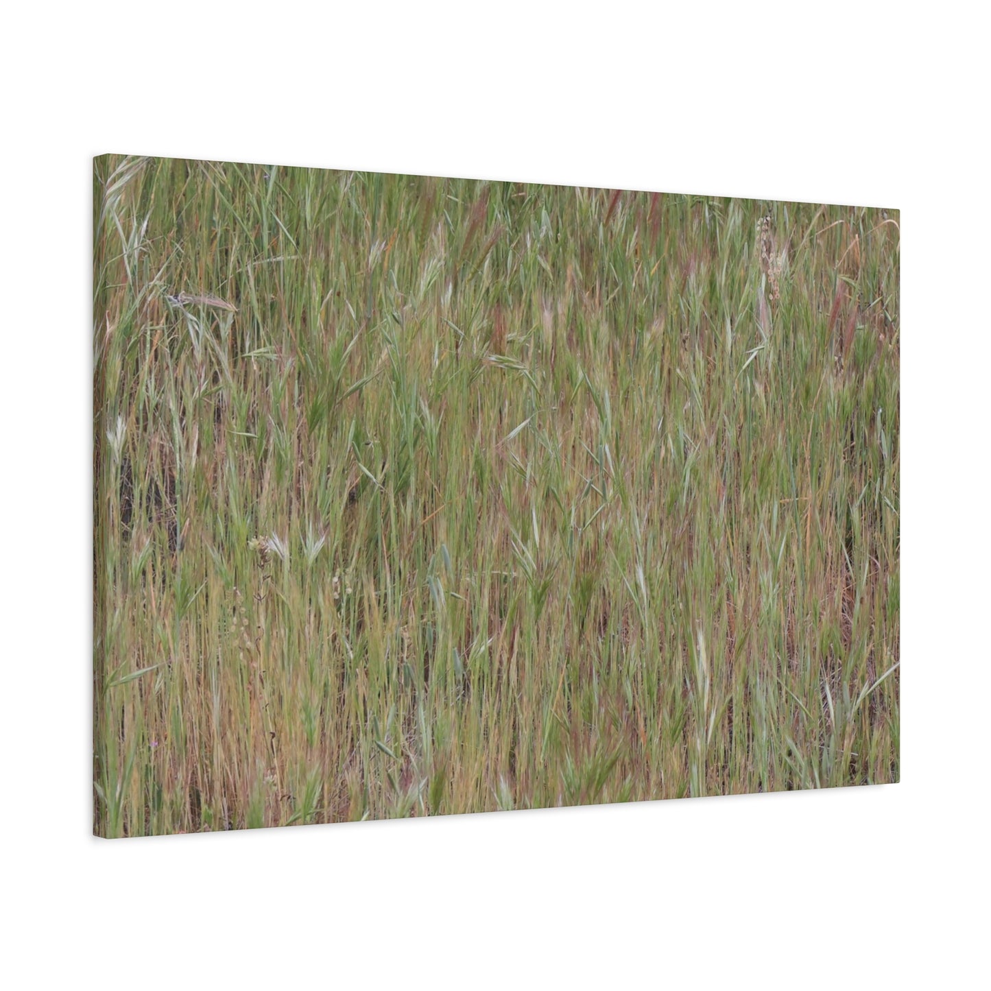 Whispers of the Prairie - Unique Frameless Canvas Wall Art