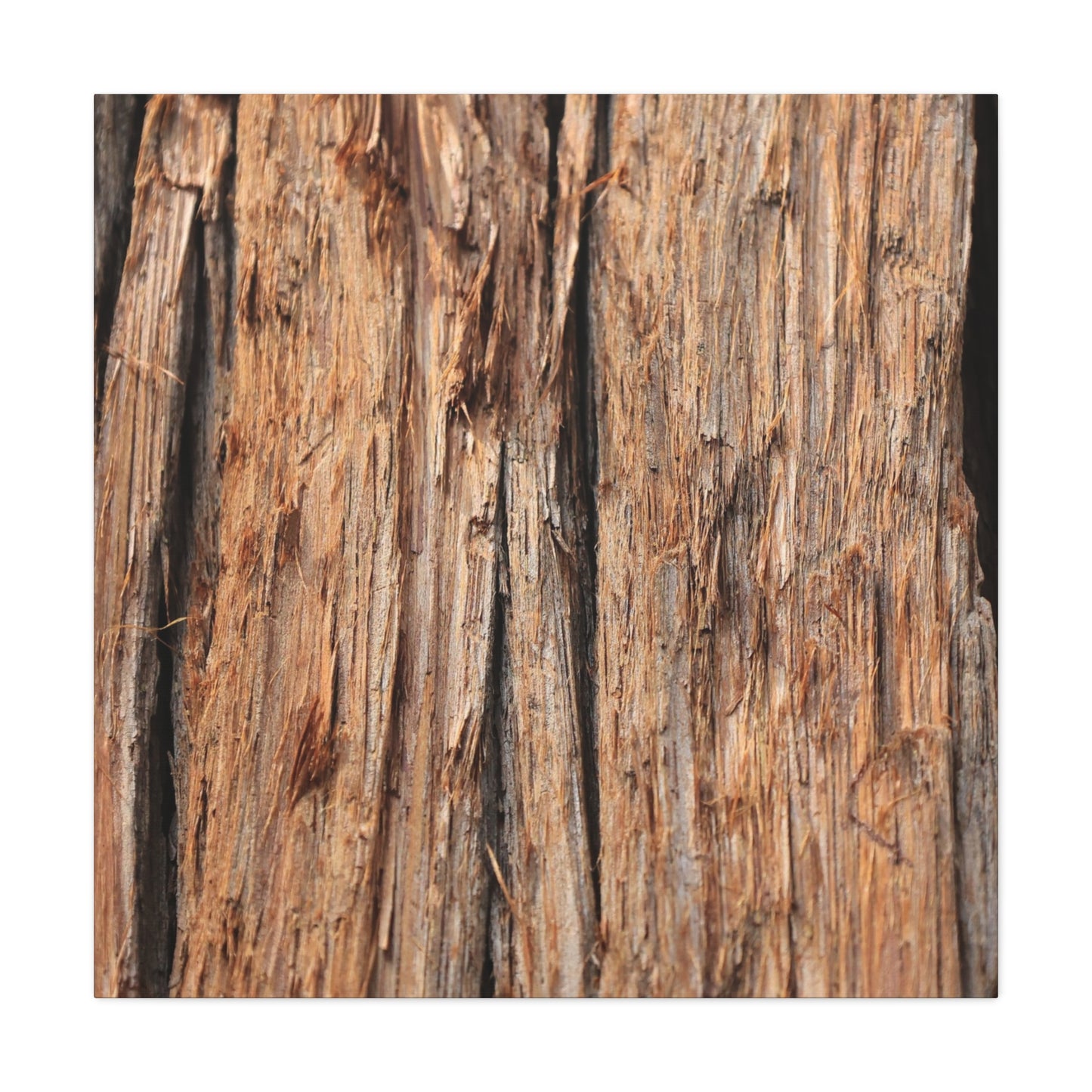 Woodland Echoes - Unique Frameless Canvas Wall Art