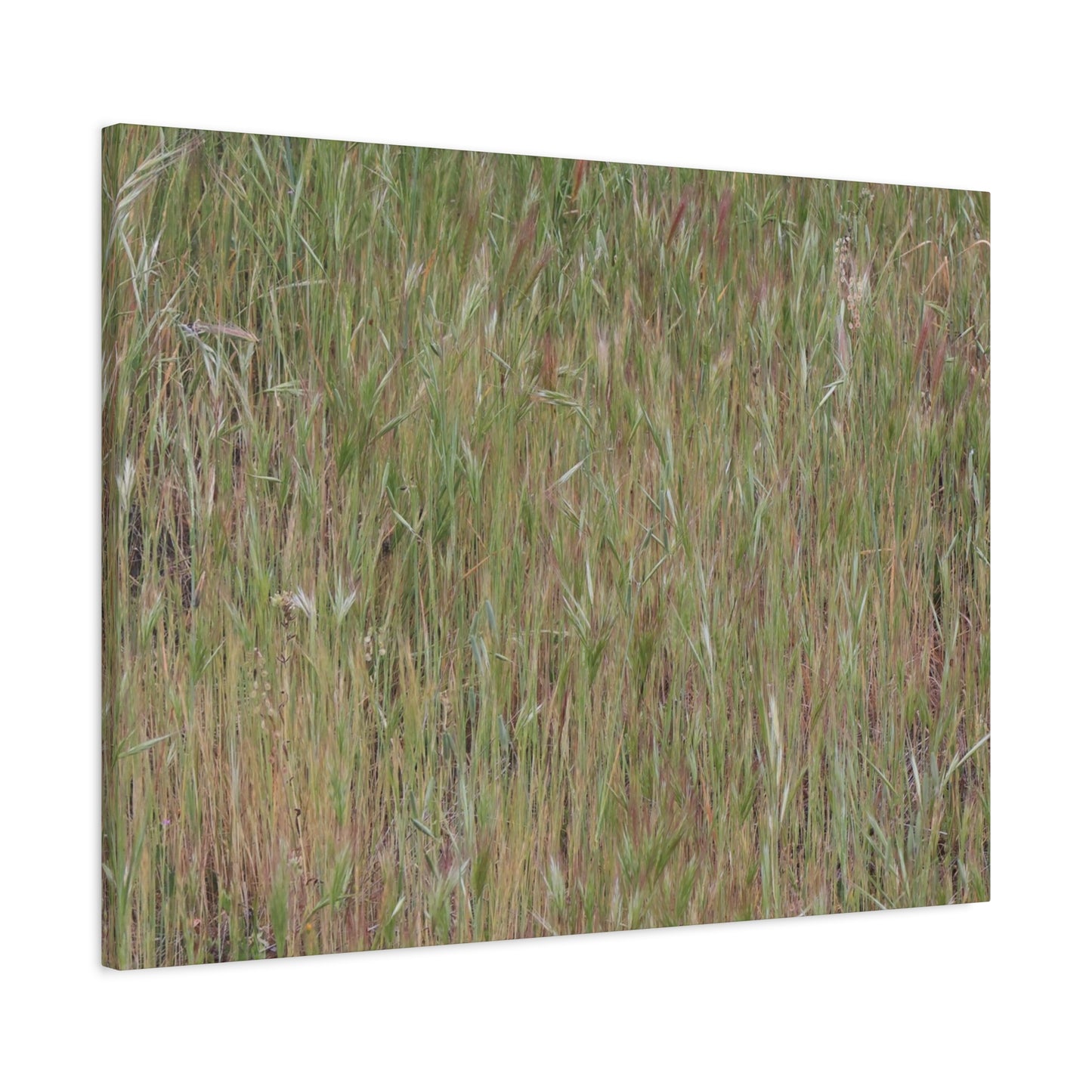 Whispers of the Prairie - Unique Frameless Canvas Wall Art