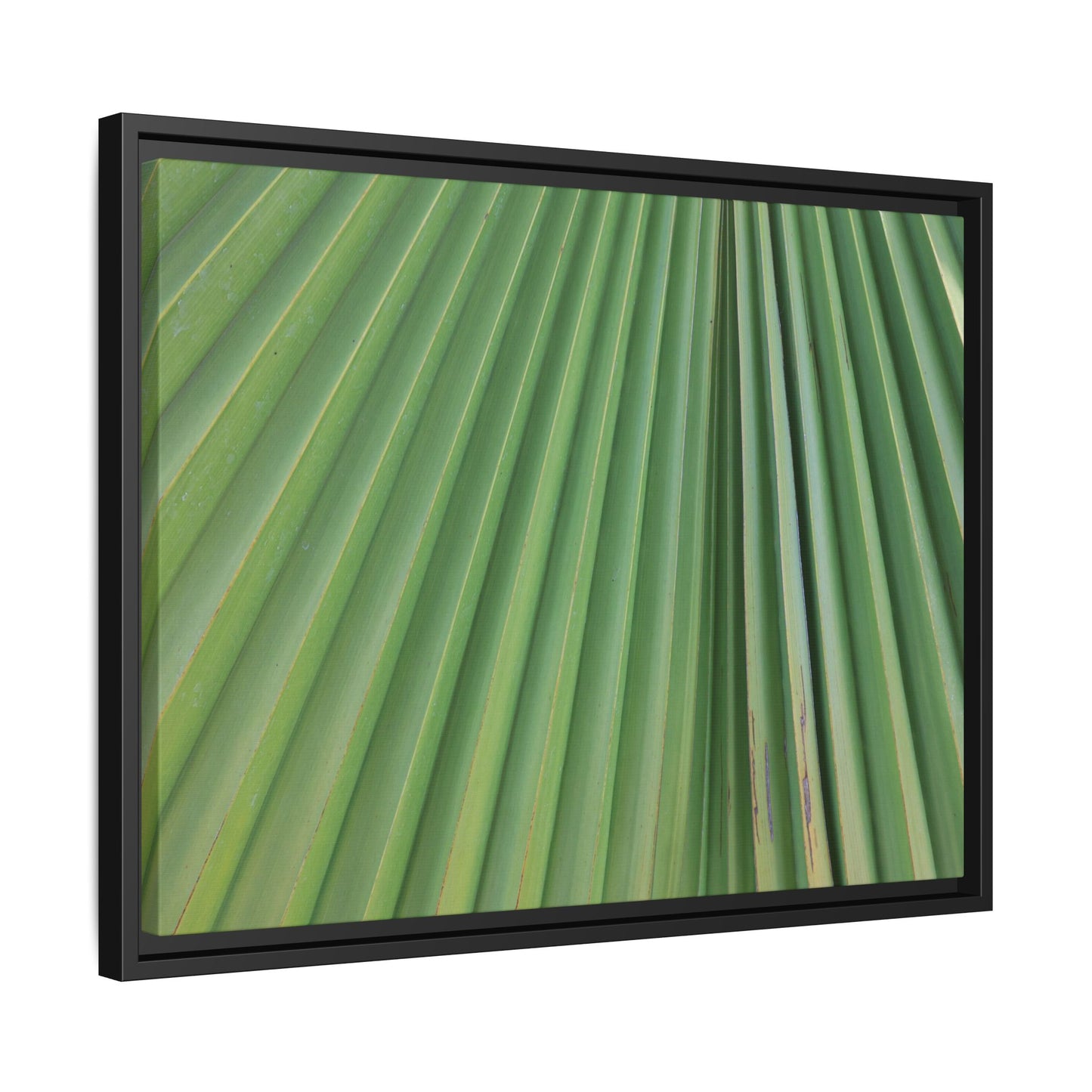 Emerald Rays - Unique Stretched Canvas Wall Art