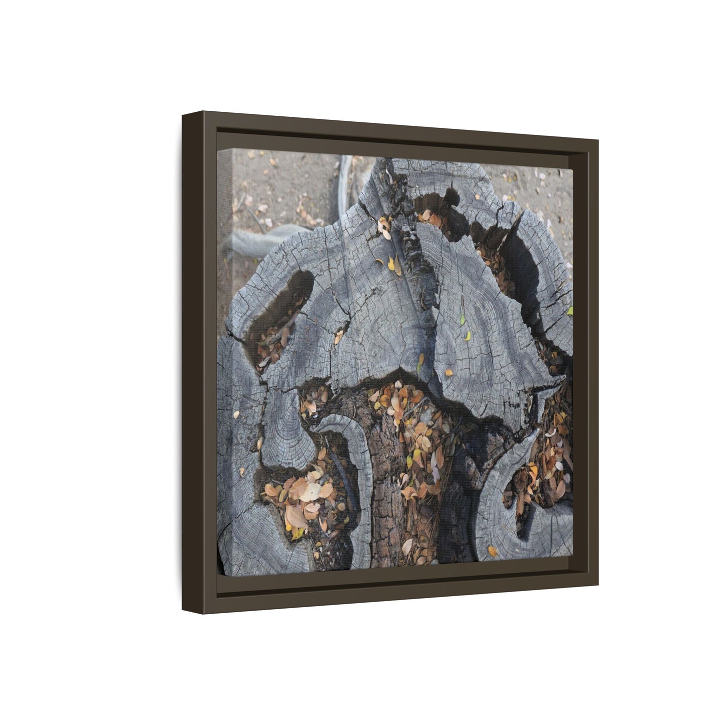 Time's Fractal Memory - Unique Stretched Canvas Wall Art