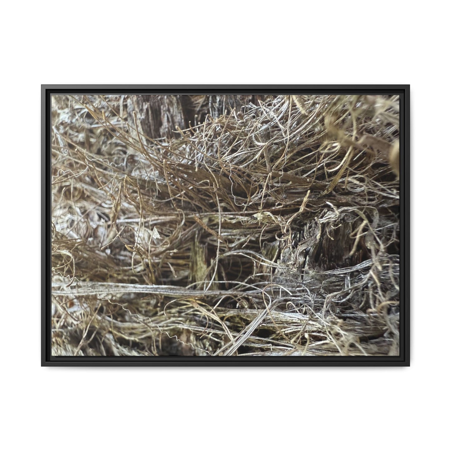 Tangled Whispers of Autumn - Unique Stretched Canvas Wall Art