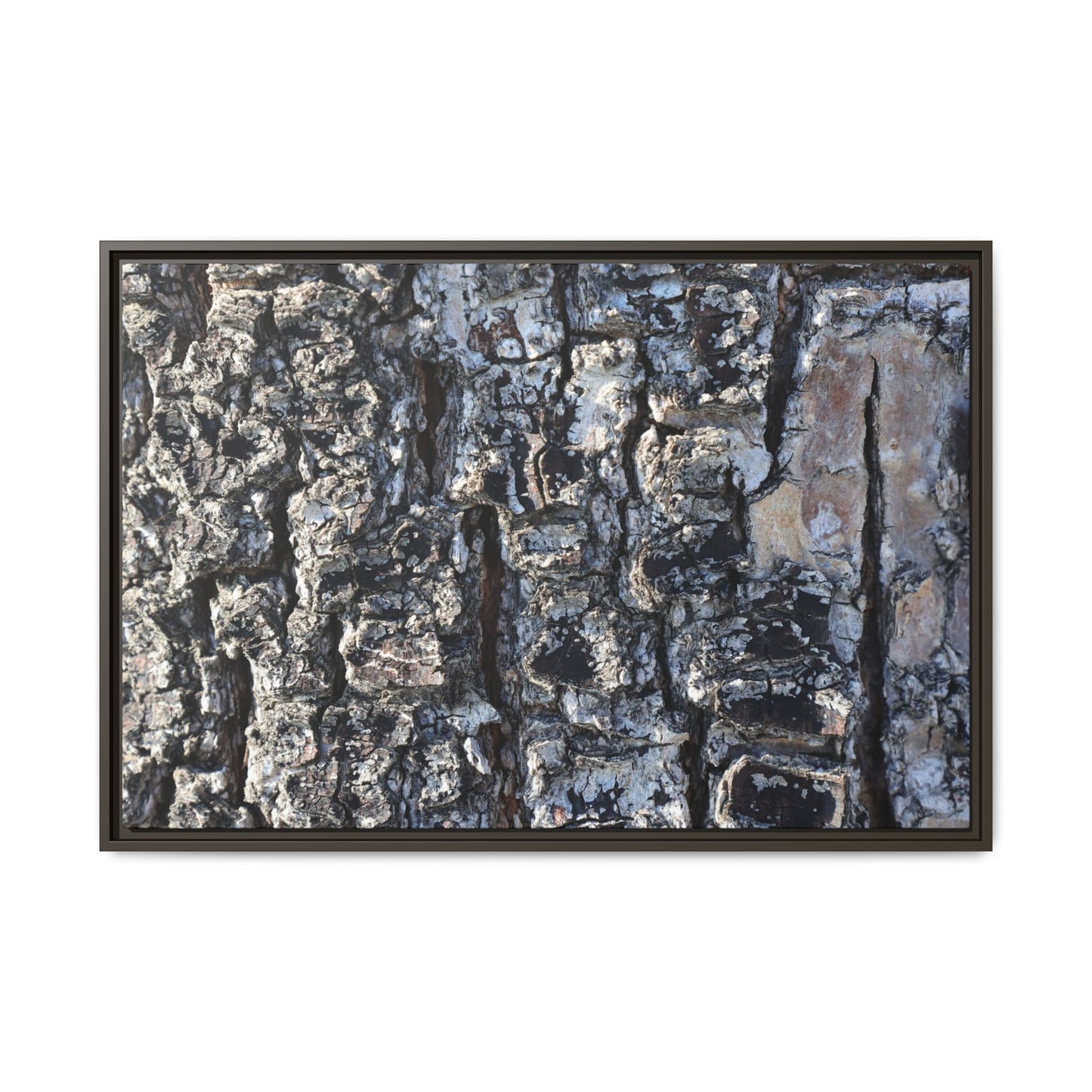 The Bark Chronicles - Unique Stretched Canvas Wall Art